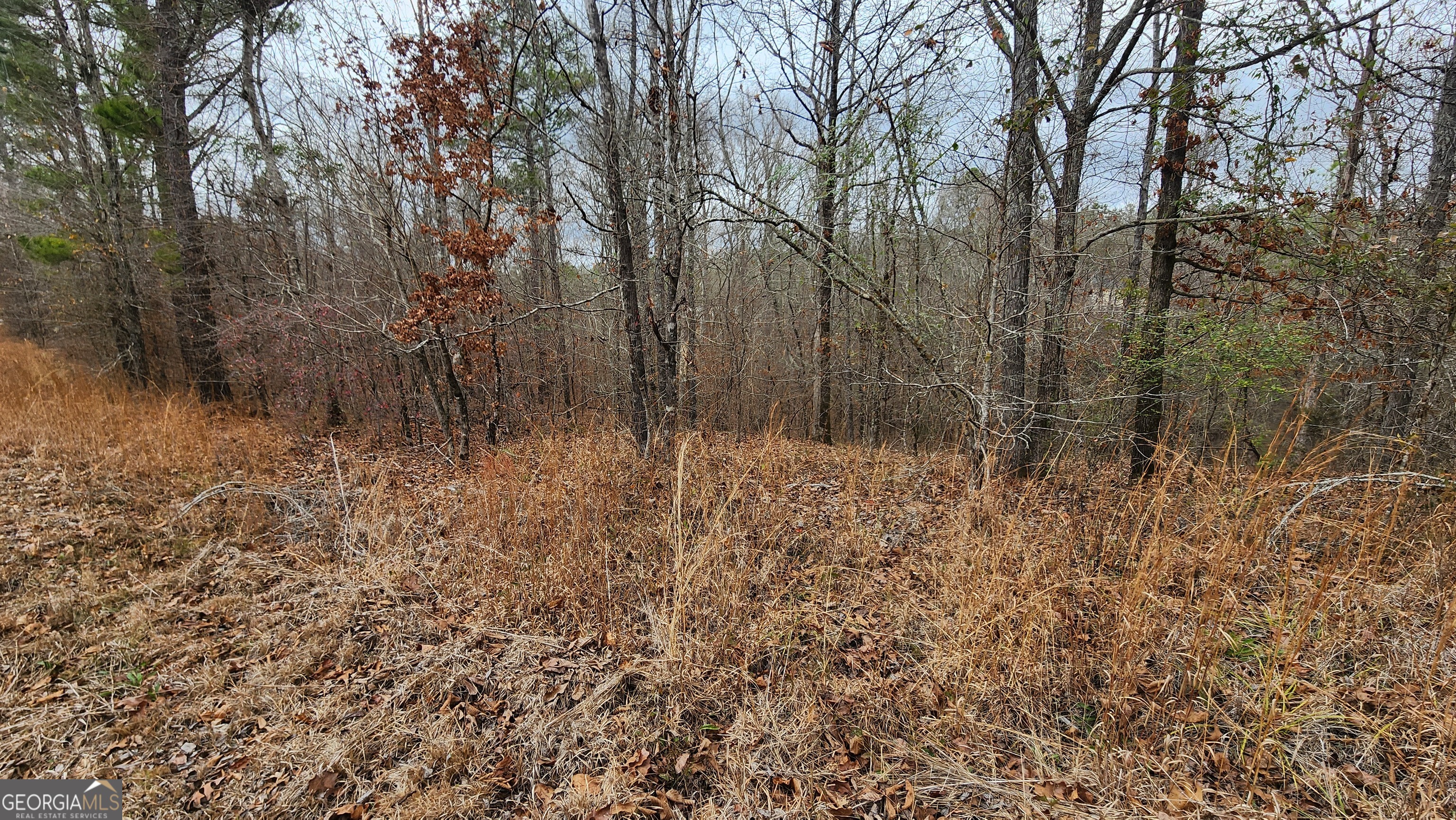 0 Ethridge Place Property Photo 4