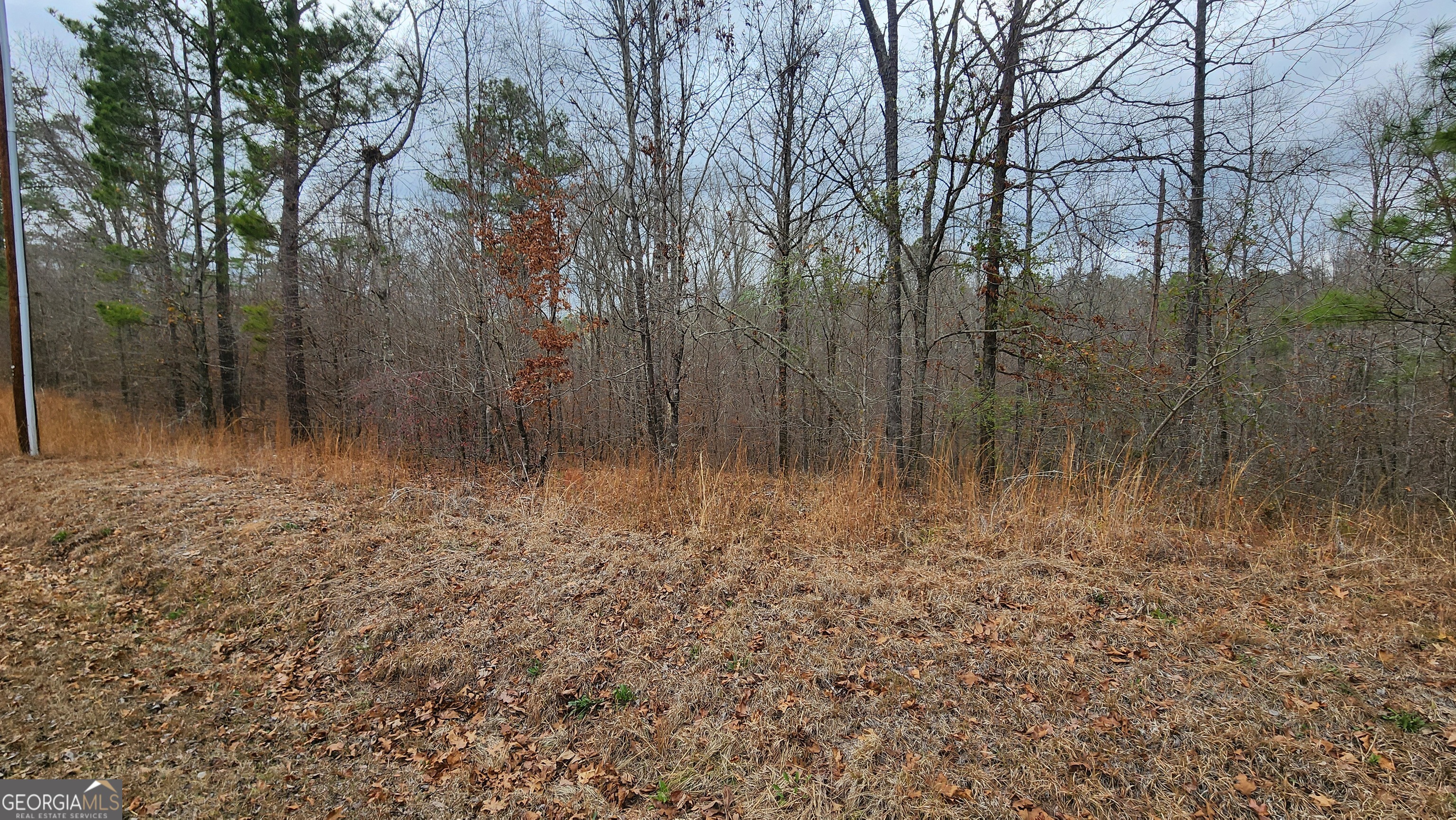 0 Ethridge Place Property Photo 5