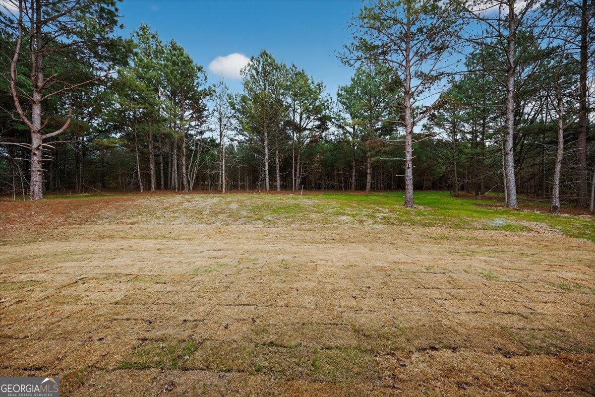 98 Mud Bridge Road Property Photo 36