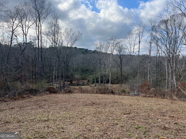 0 Mountain Creek Drive