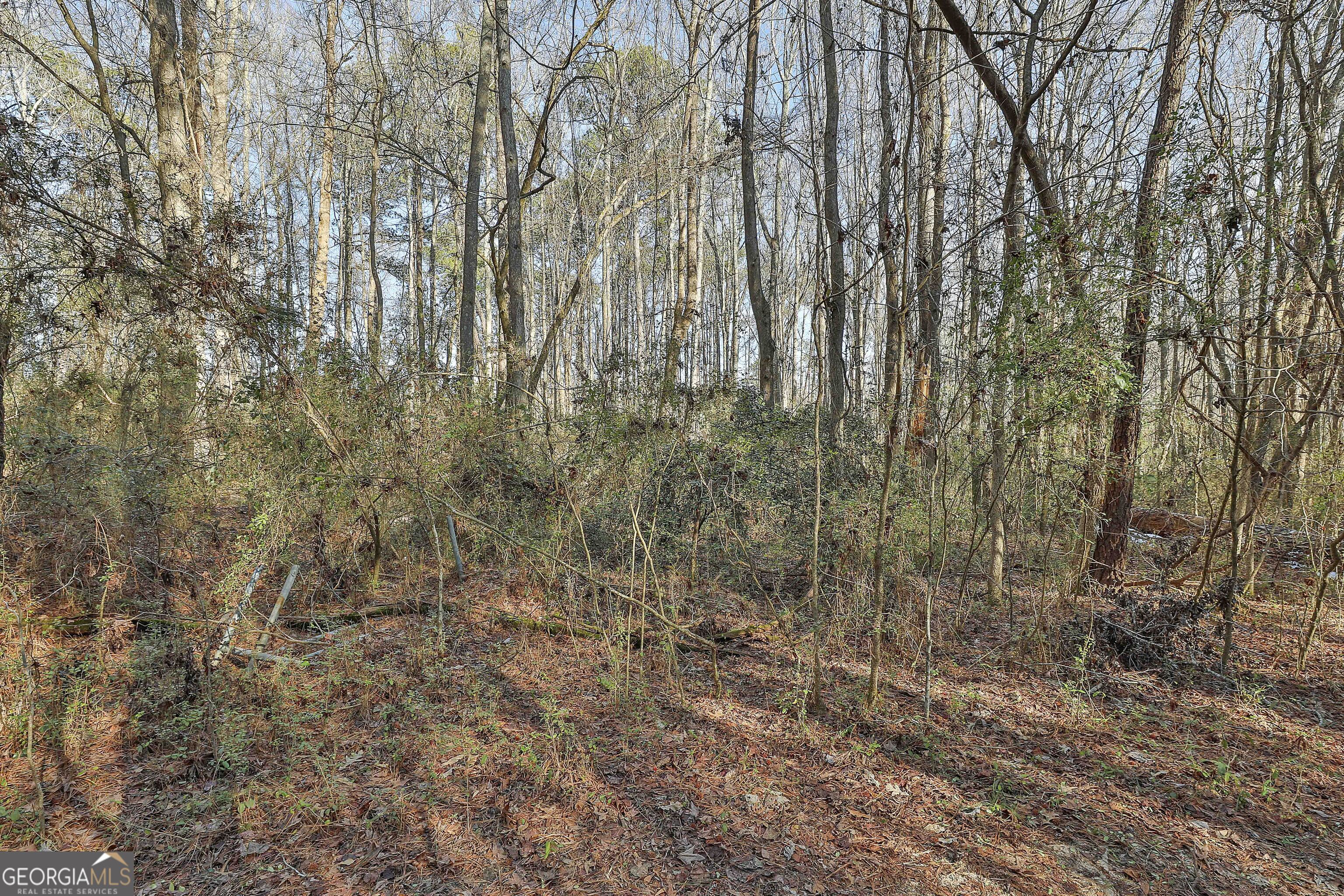 1870 Highway 92 N Property Photo 8