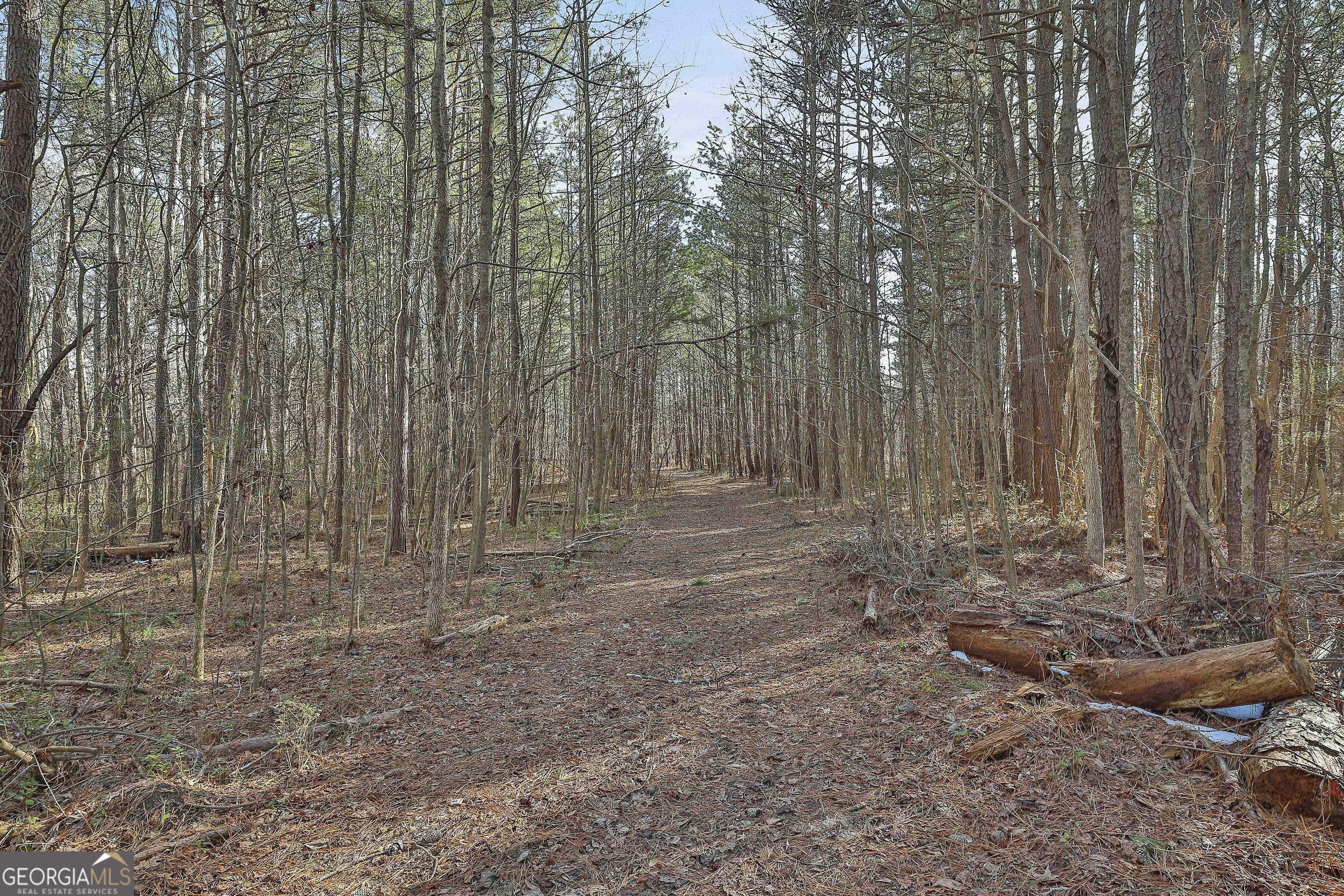 1870 Highway 92 N Property Photo 9