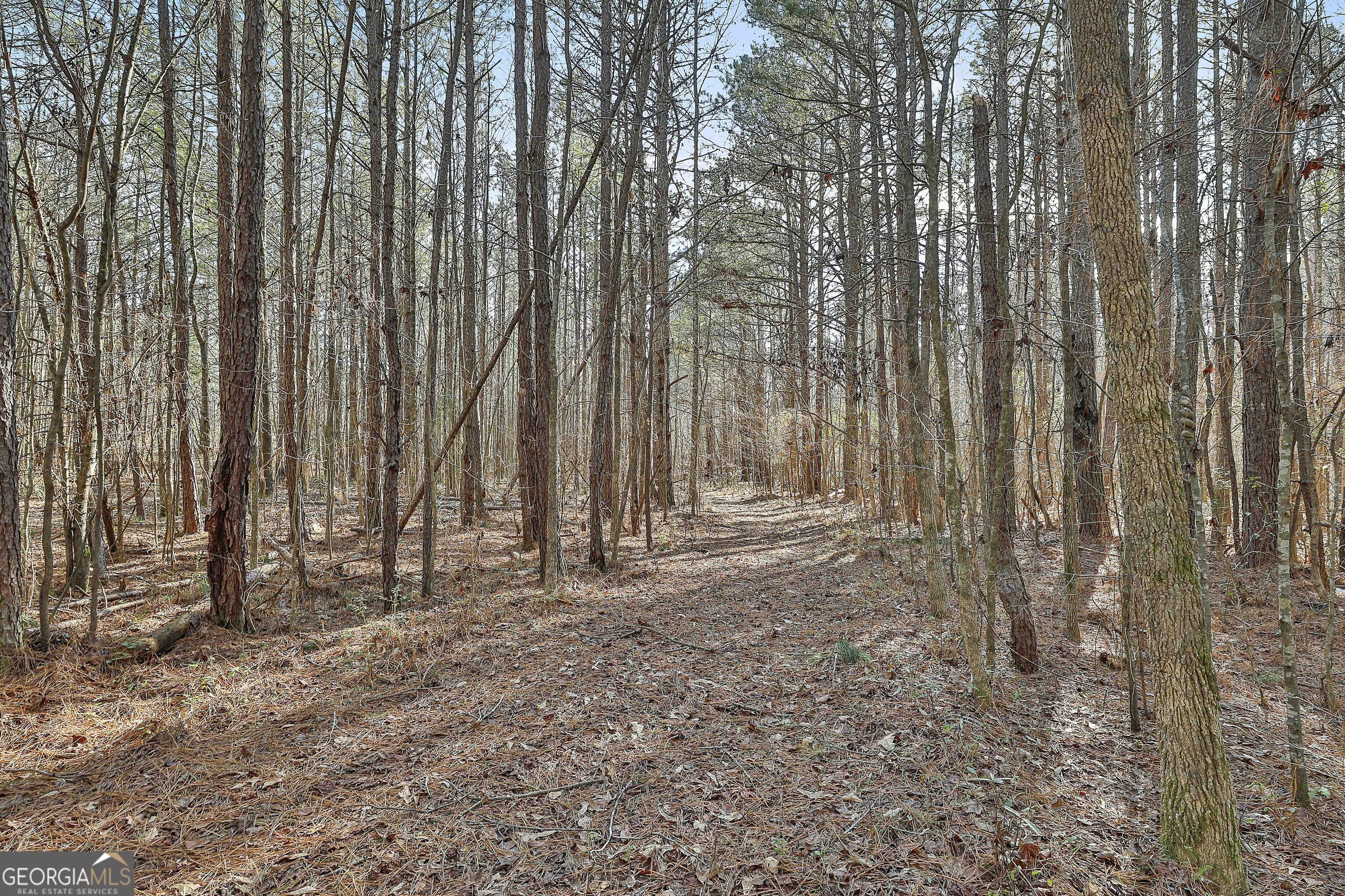 1870 Highway 92 N Property Photo 10