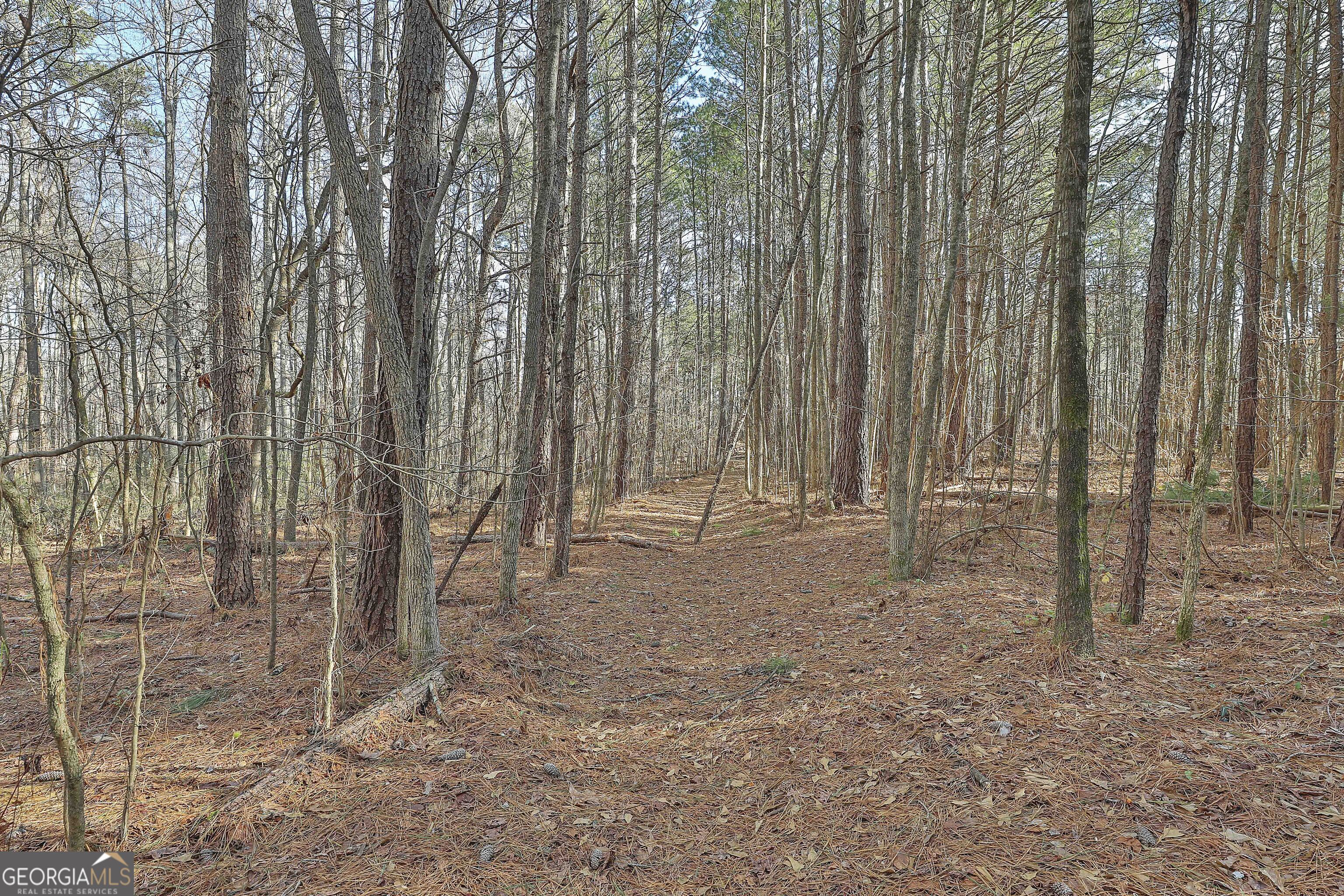 1870 Highway 92 N Property Photo 11