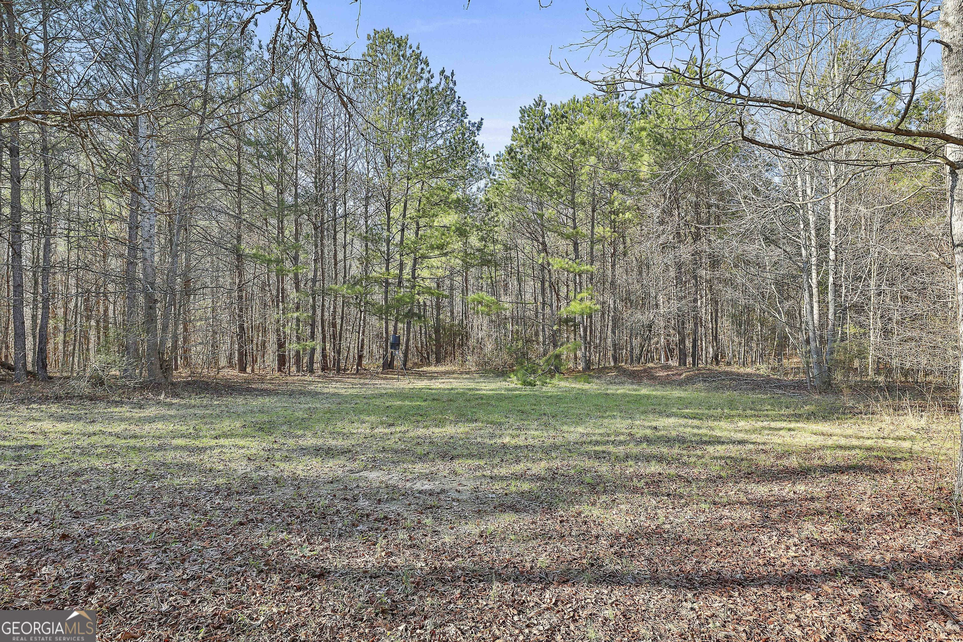1870 Highway 92 N Property Photo 13