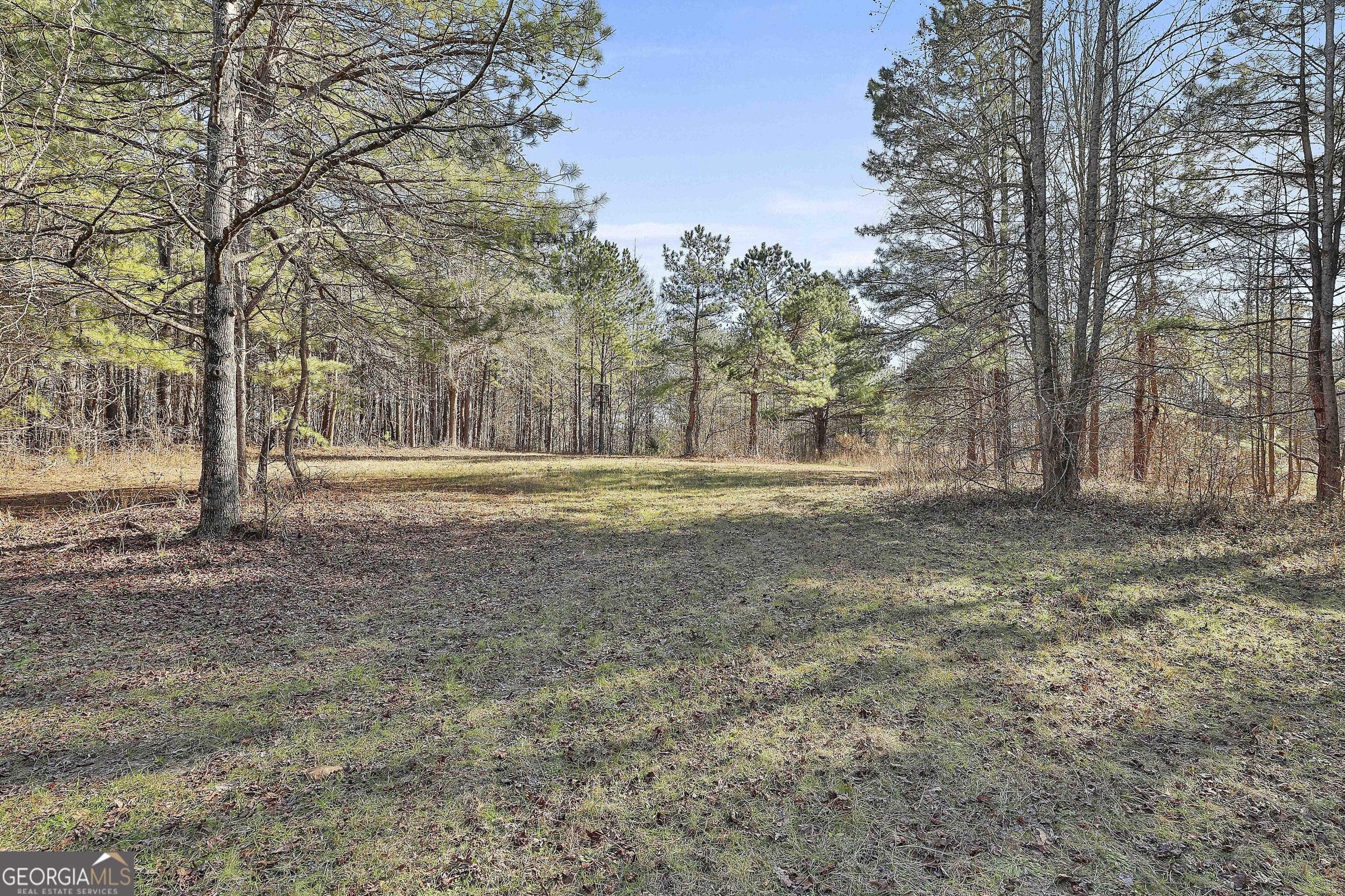 1870 Highway 92 N Property Photo 14