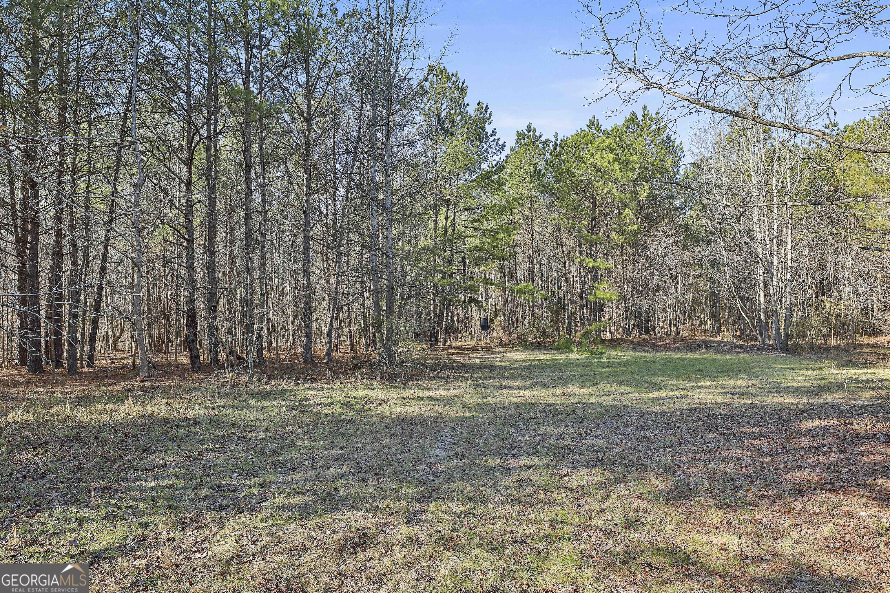 1870 Highway 92 N Property Photo 15
