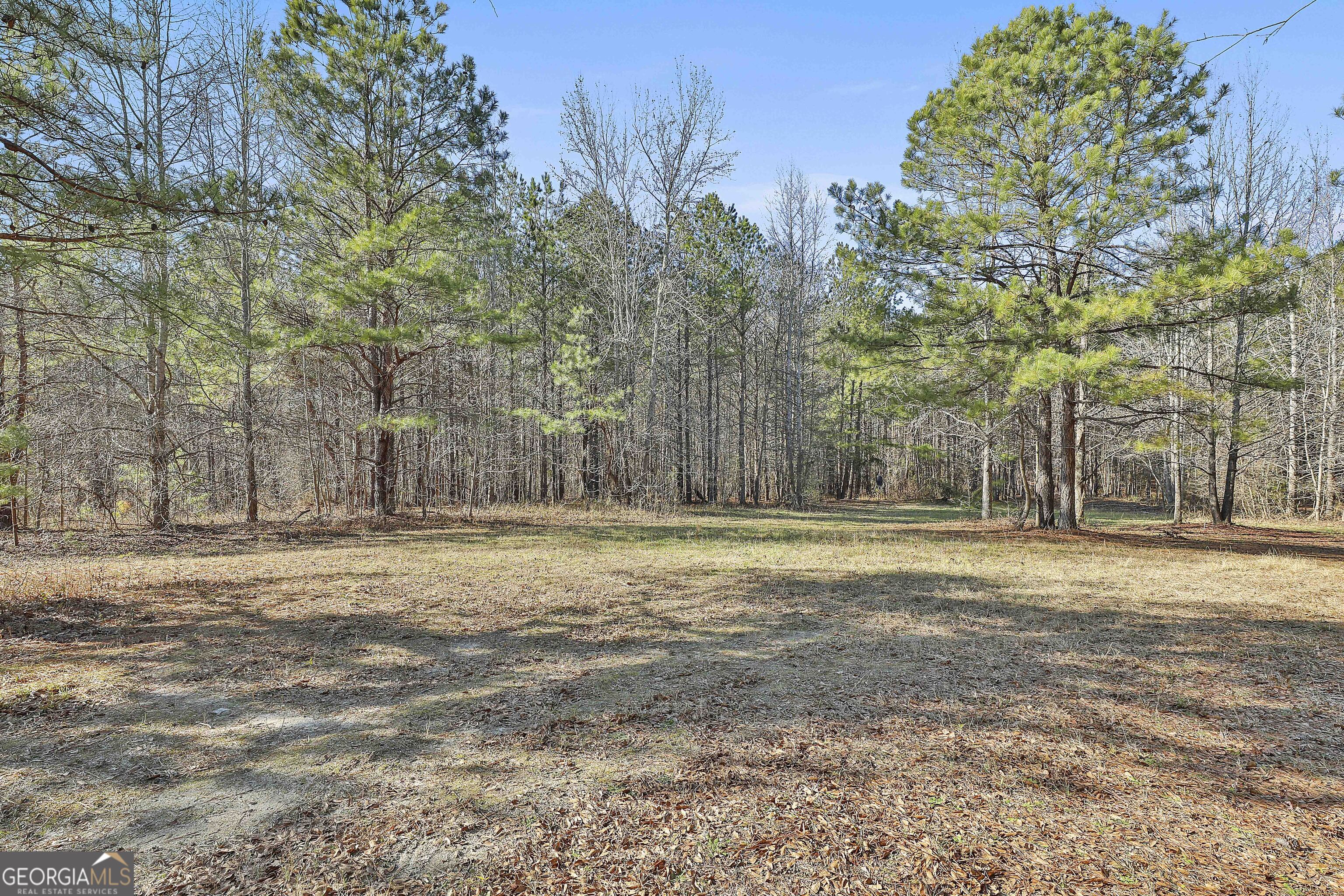 1870 Highway 92 N Property Photo 16