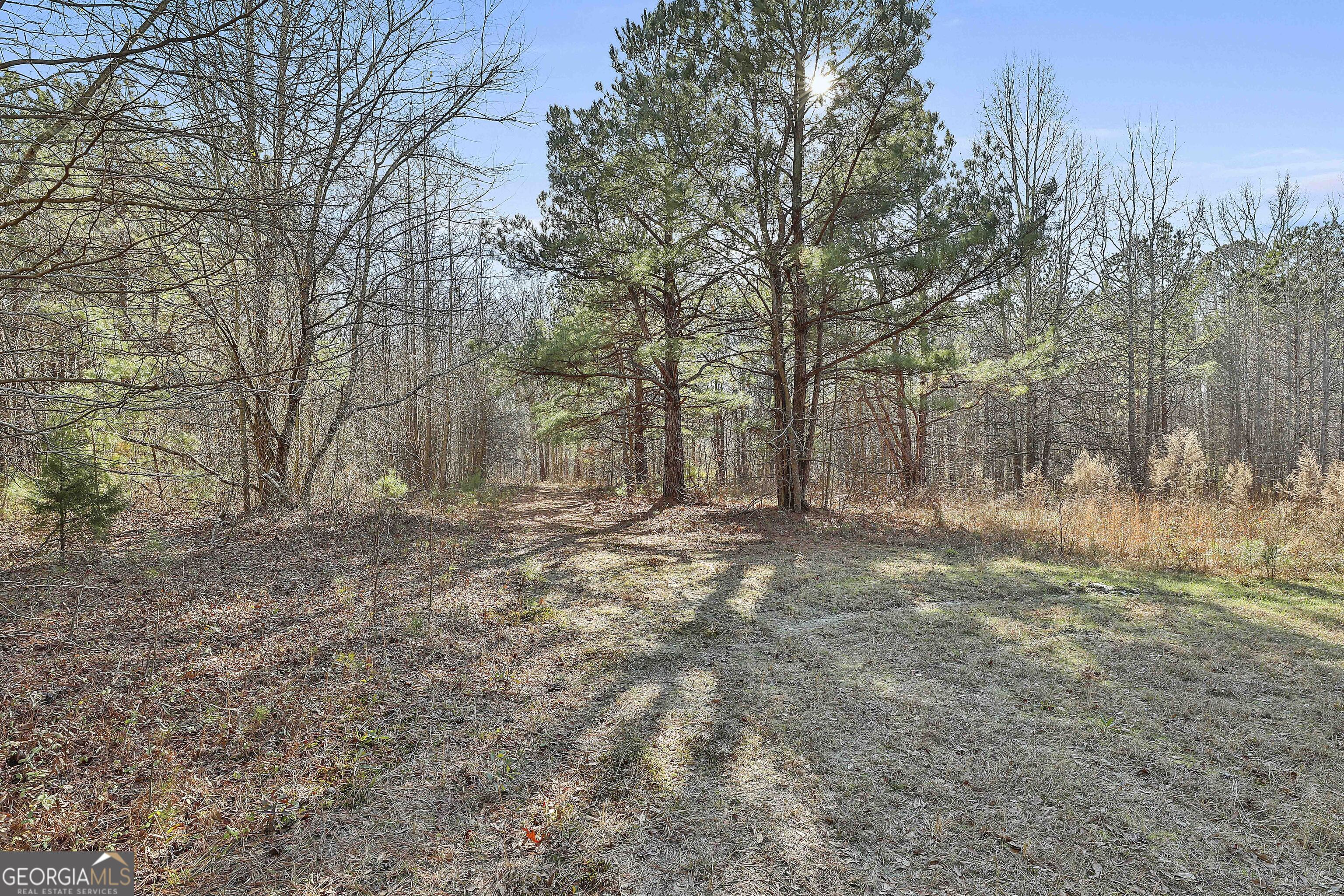 1870 Highway 92 N Property Photo 17
