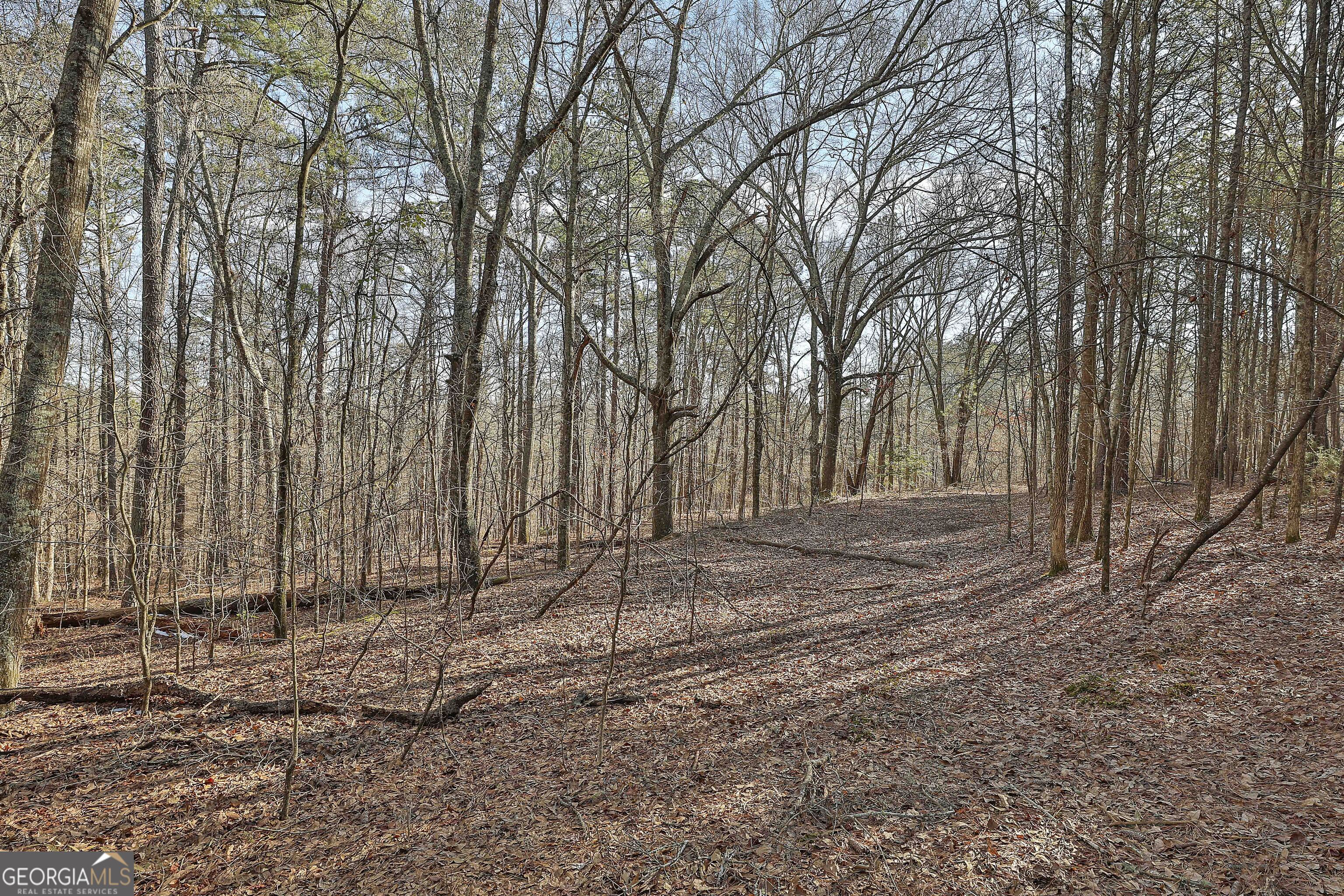 1870 Highway 92 N Property Photo 18