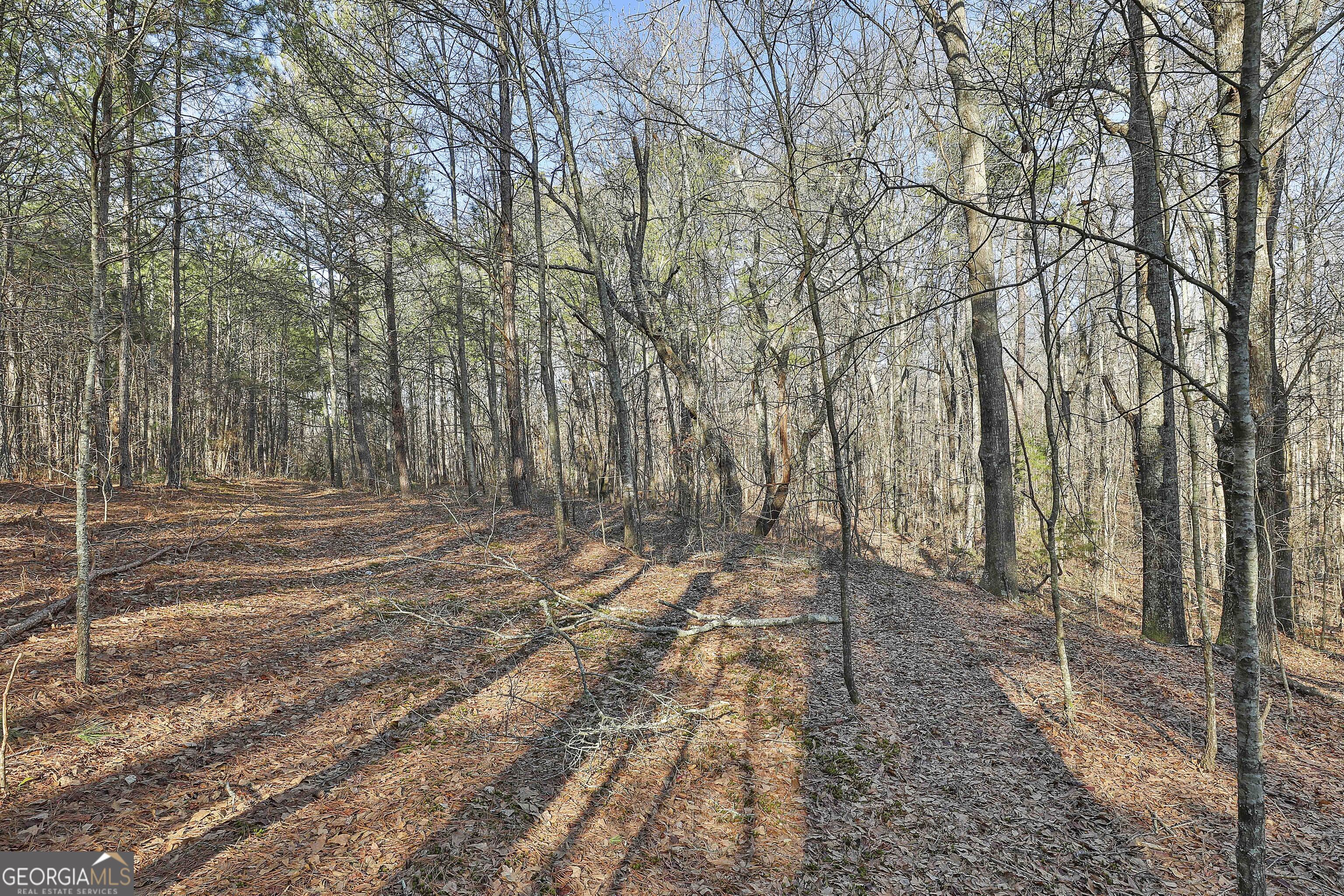 1870 Highway 92 N Property Photo 19