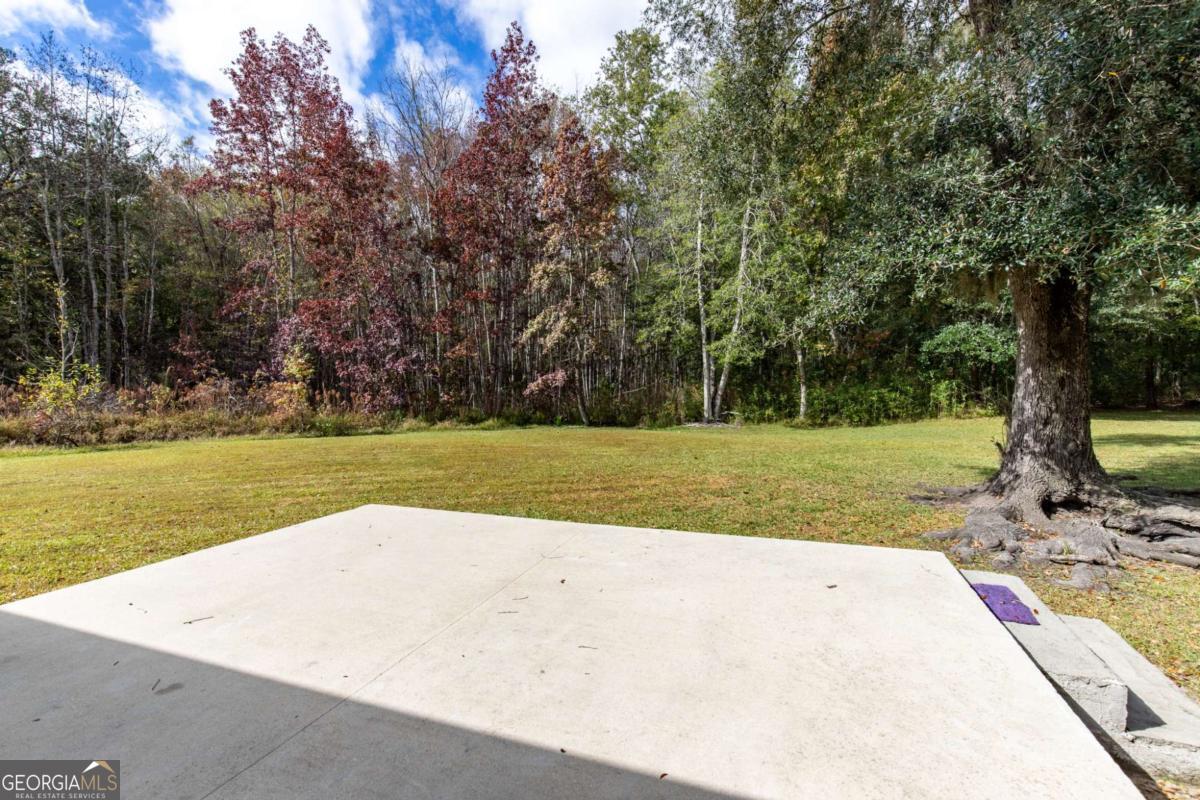 14261 Us Highway 17 Property Photo 44
