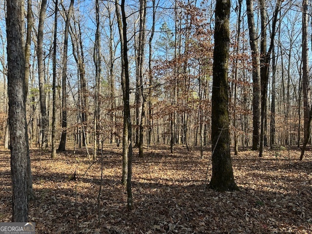 331 Worsham Road Property Photo 2