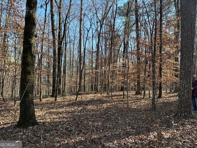 331 Worsham Road Property Photo 3