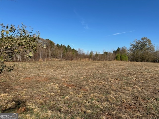 331 Worsham Road Property Photo 7