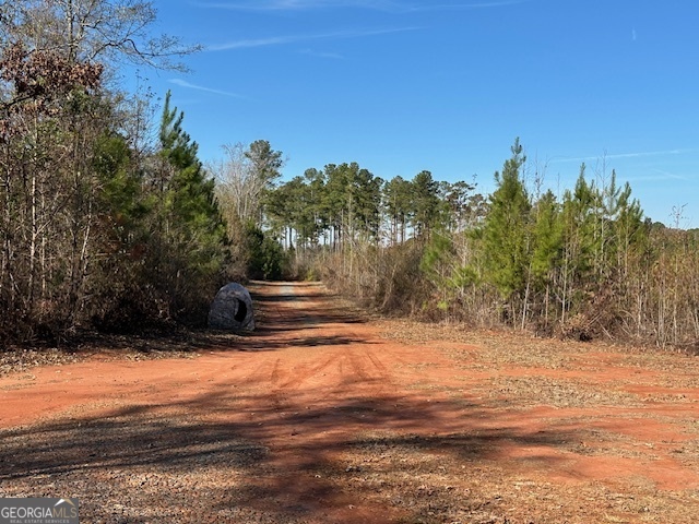 331 Worsham Road Property Photo 9