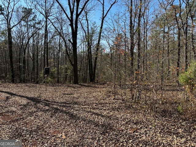 331 Worsham Road Property Photo 13