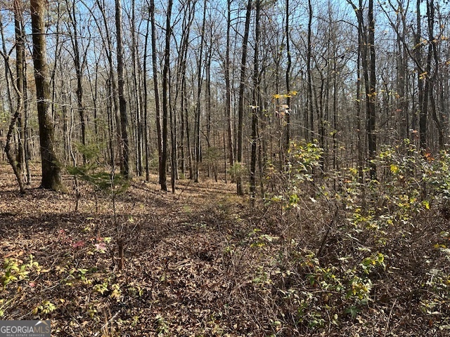 331 Worsham Road Property Photo 17