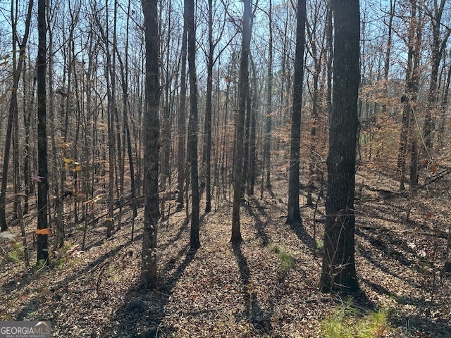 331 Worsham Road Property Photo 19