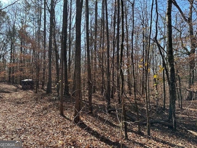 331 Worsham Road Property Photo 20