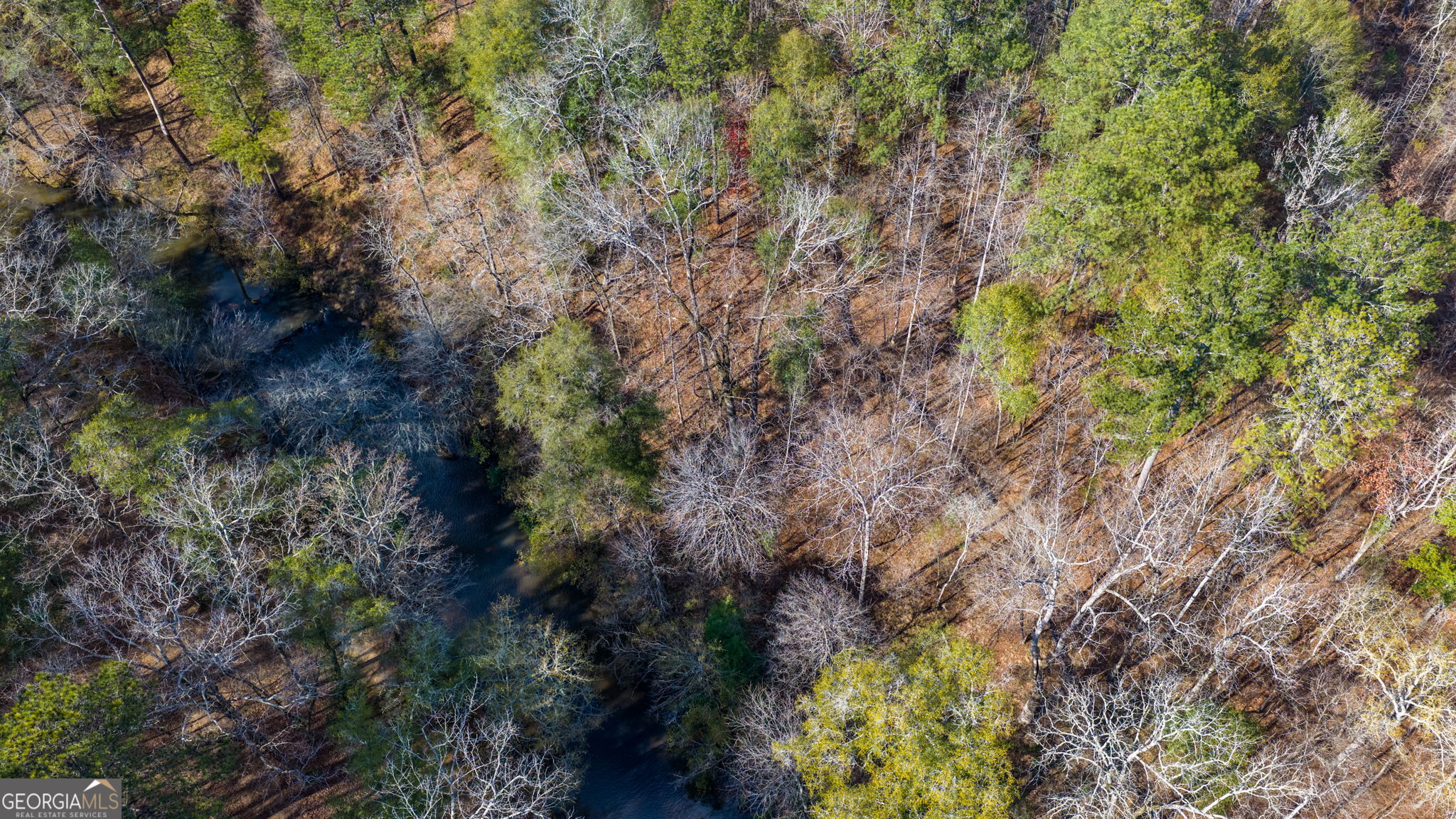 103 Ranch Court Property Photo 4