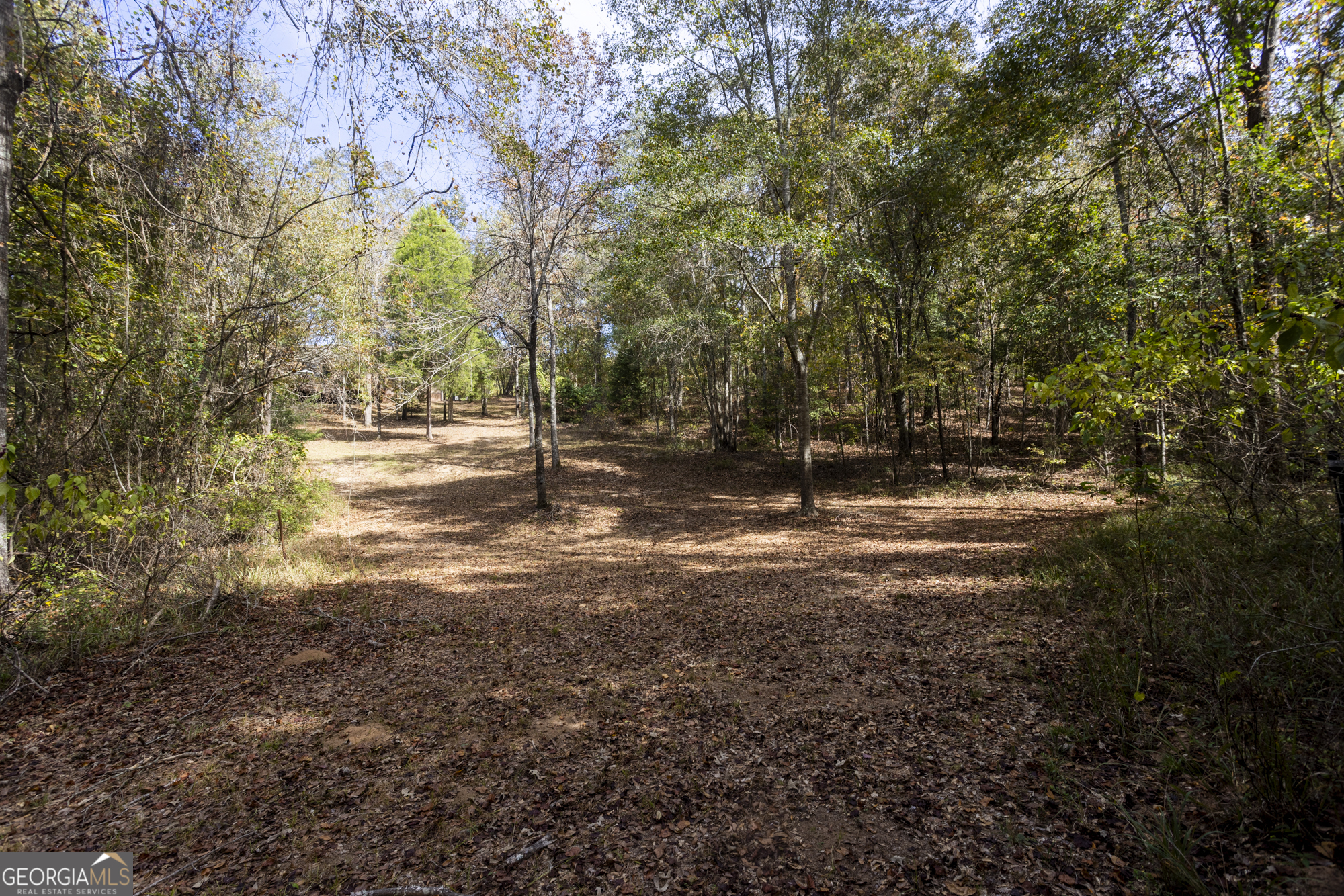 2690 E Lawson Merritt Road Property Photo 20