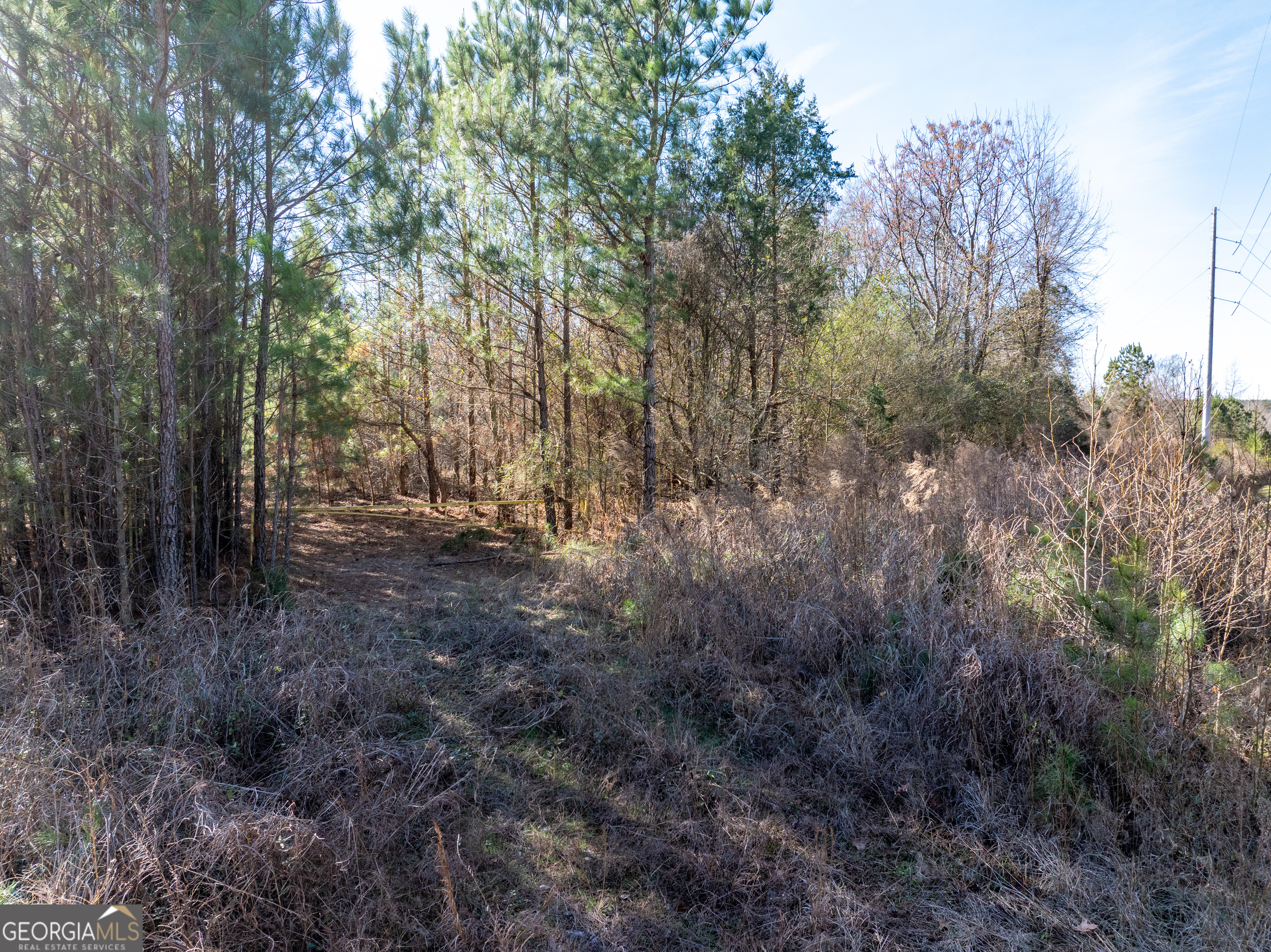 2071 Leslie Mill Road Property Photo 3