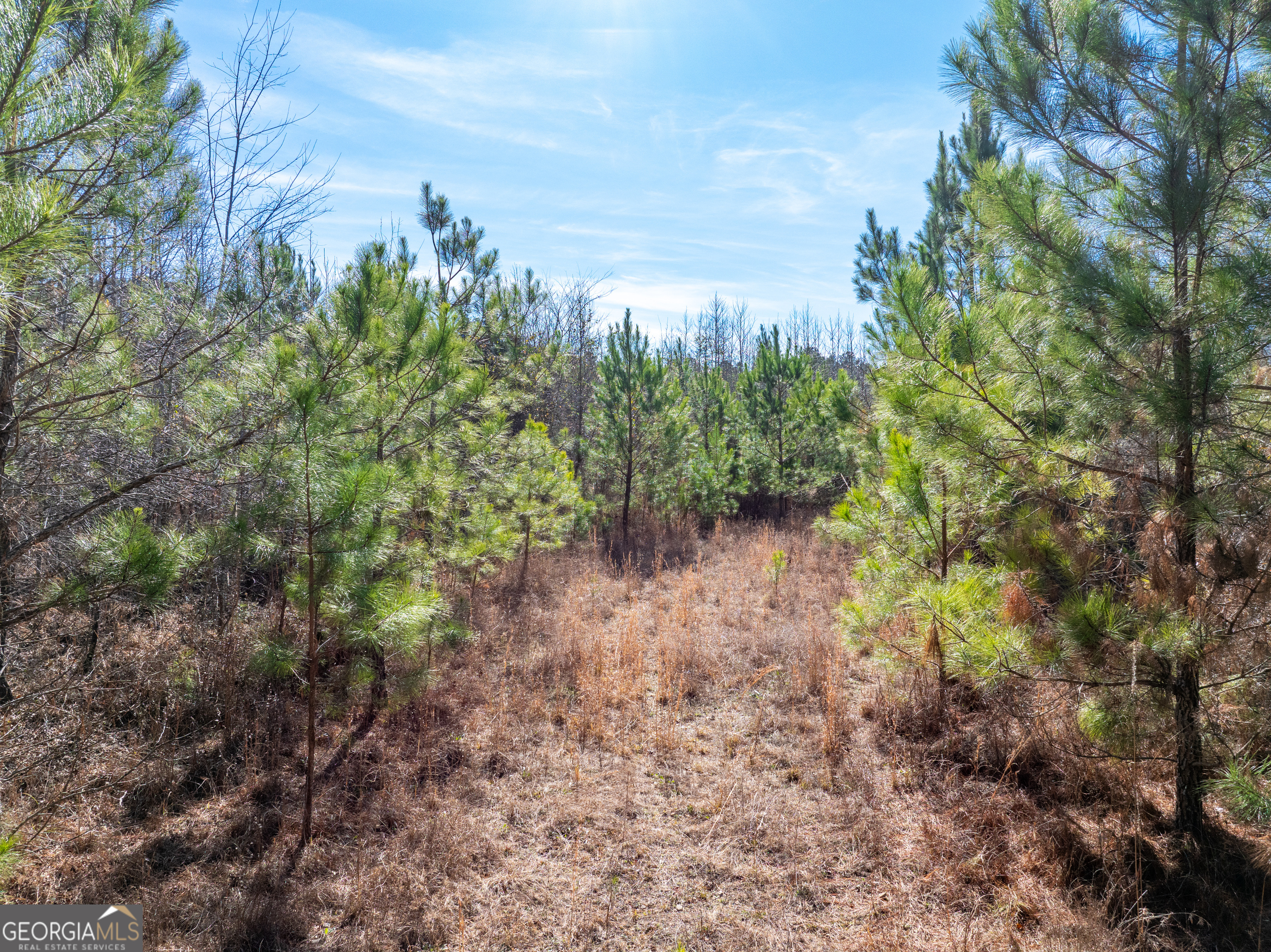 2071 Leslie Mill Road Property Photo 4
