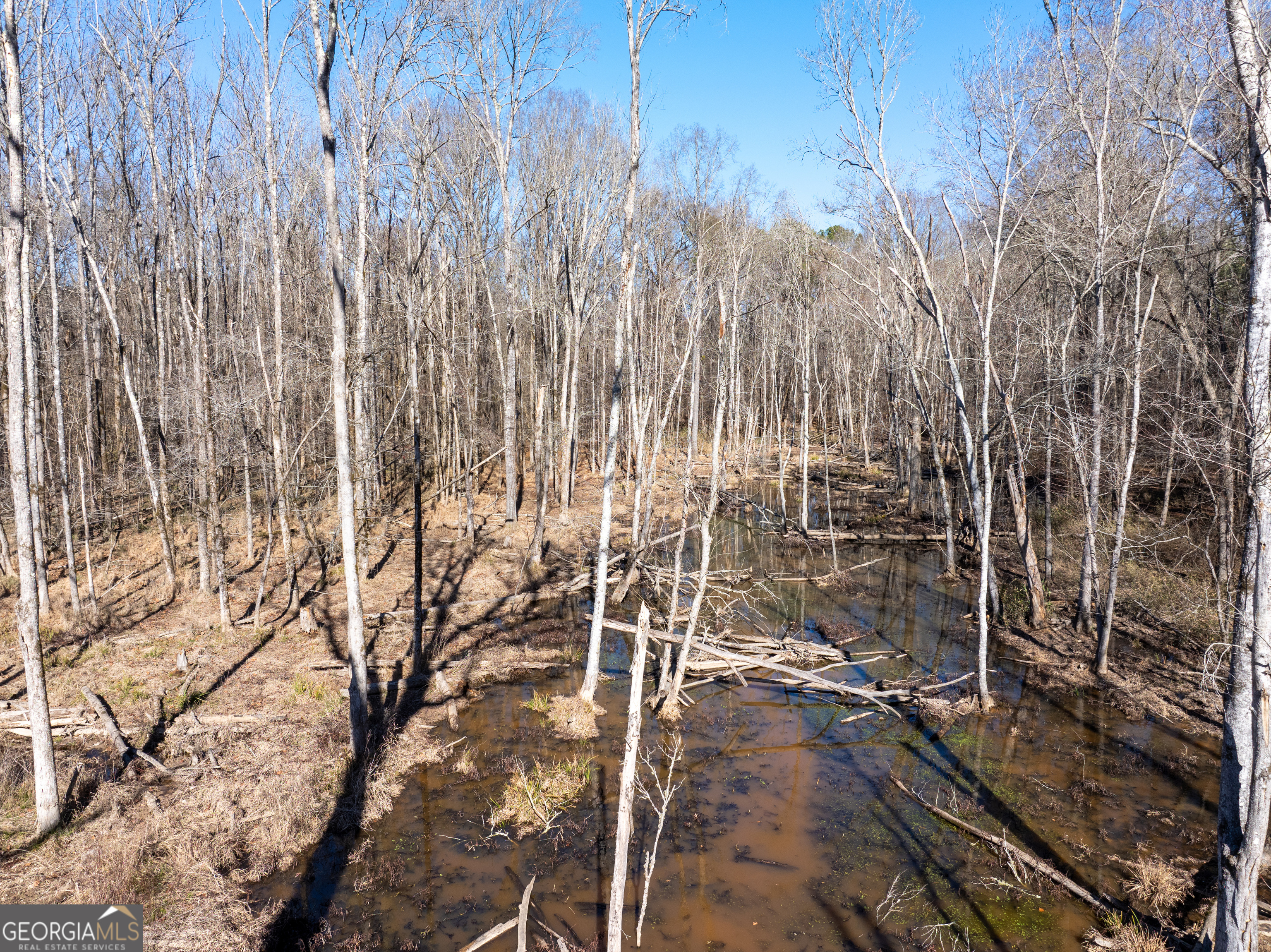 2071 Leslie Mill Road Property Photo 5