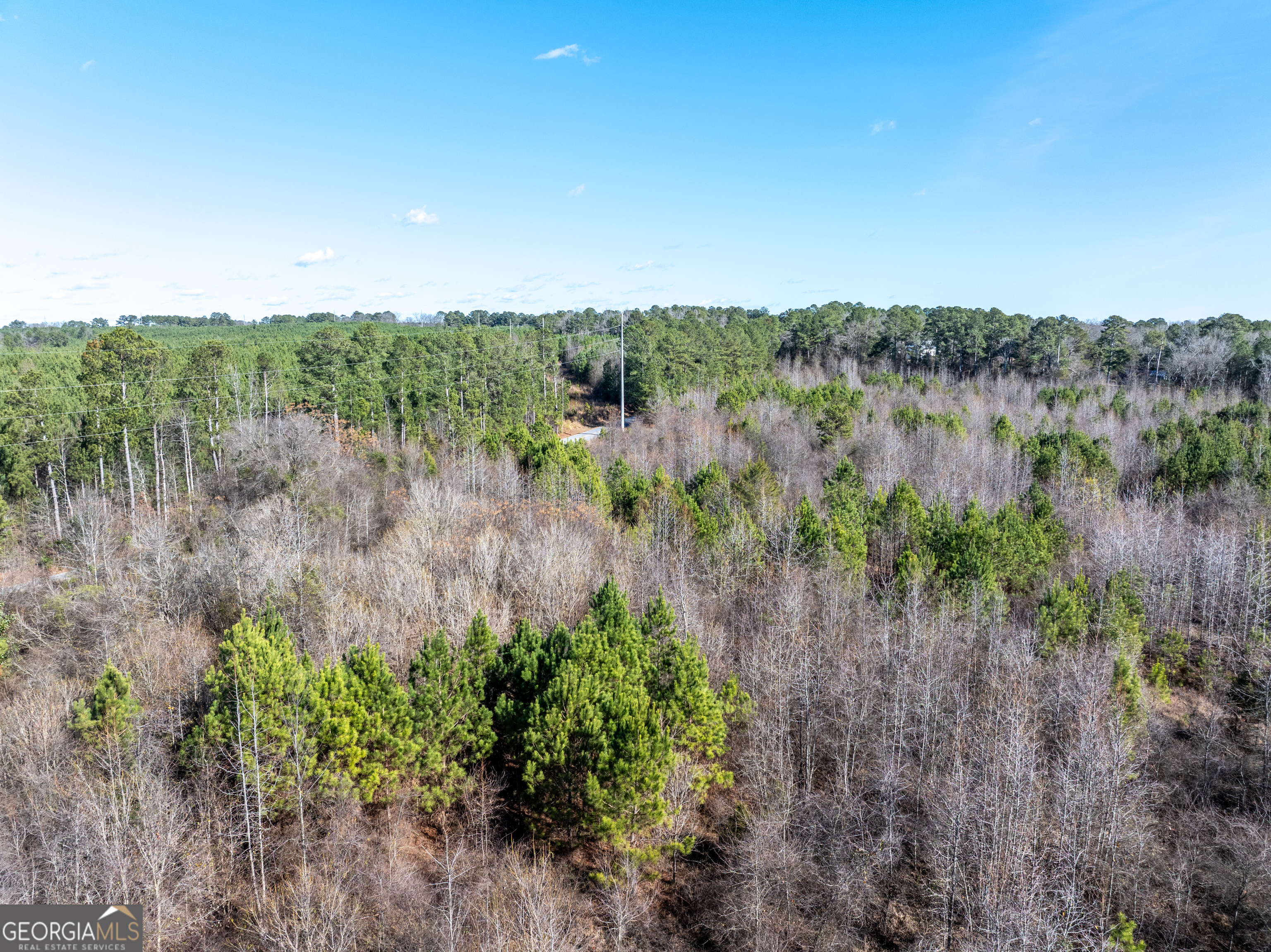 2071 Leslie Mill Road Property Photo 13