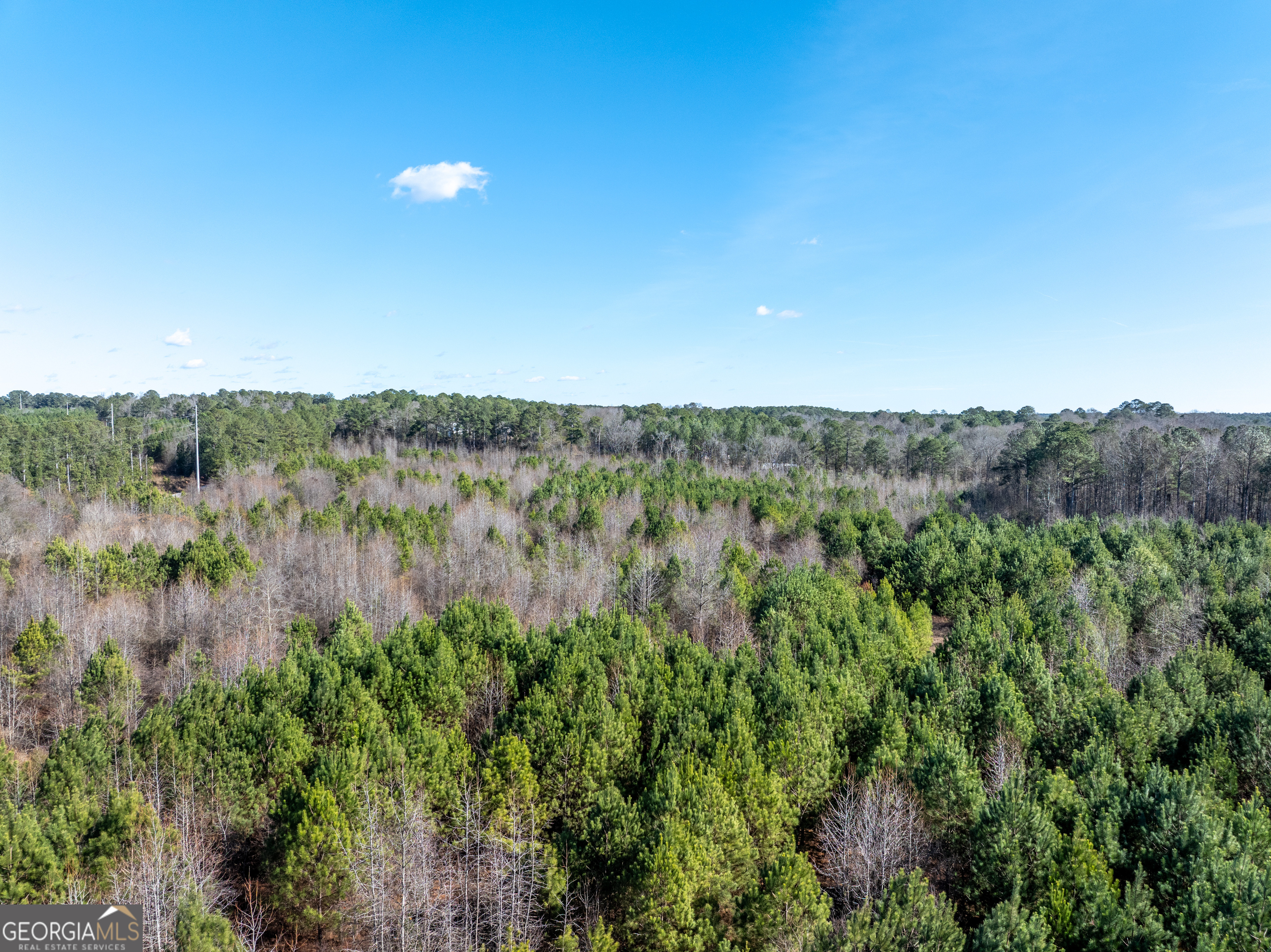 2071 Leslie Mill Road Property Photo 14