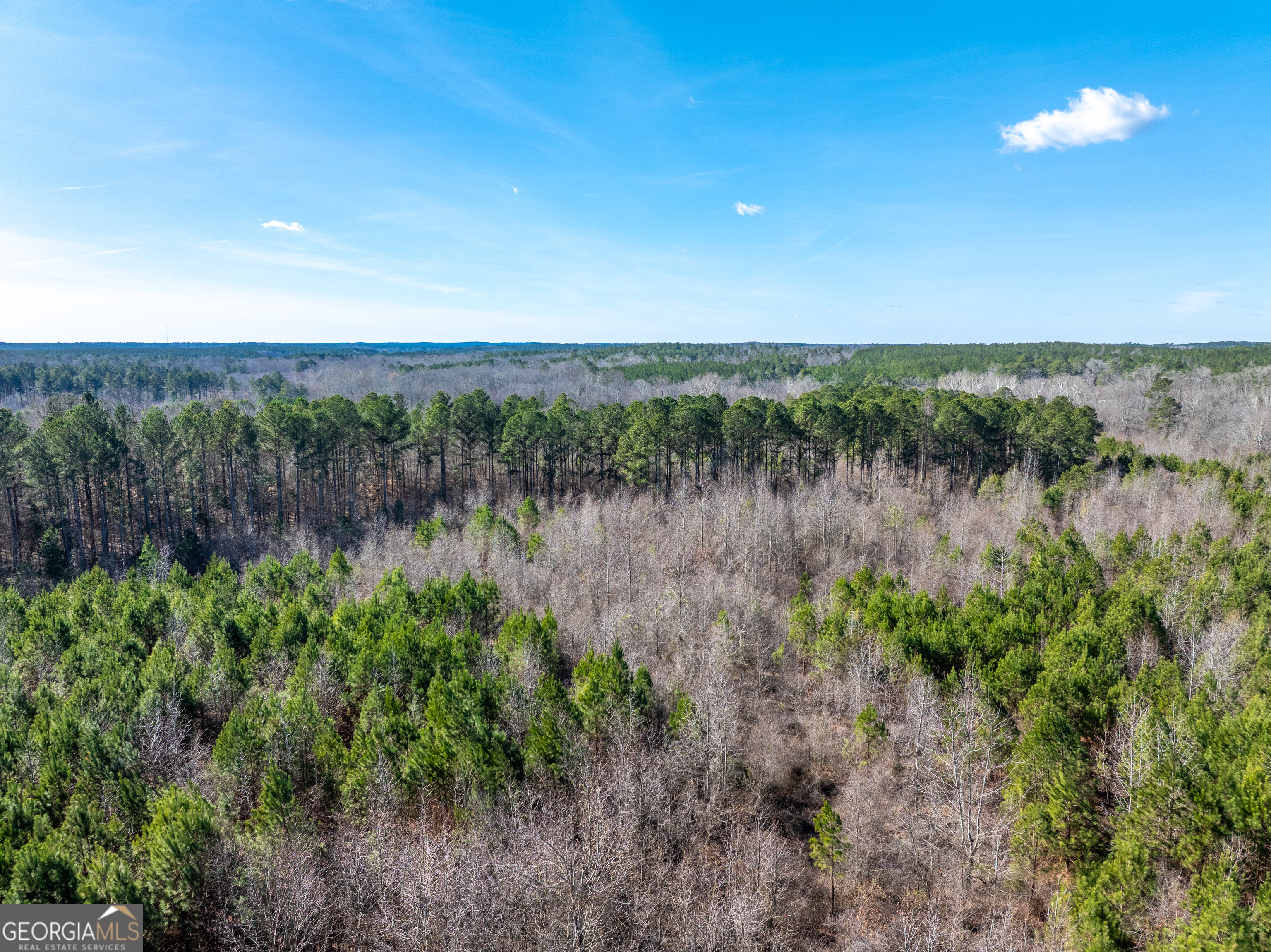 2071 Leslie Mill Road Property Photo 15