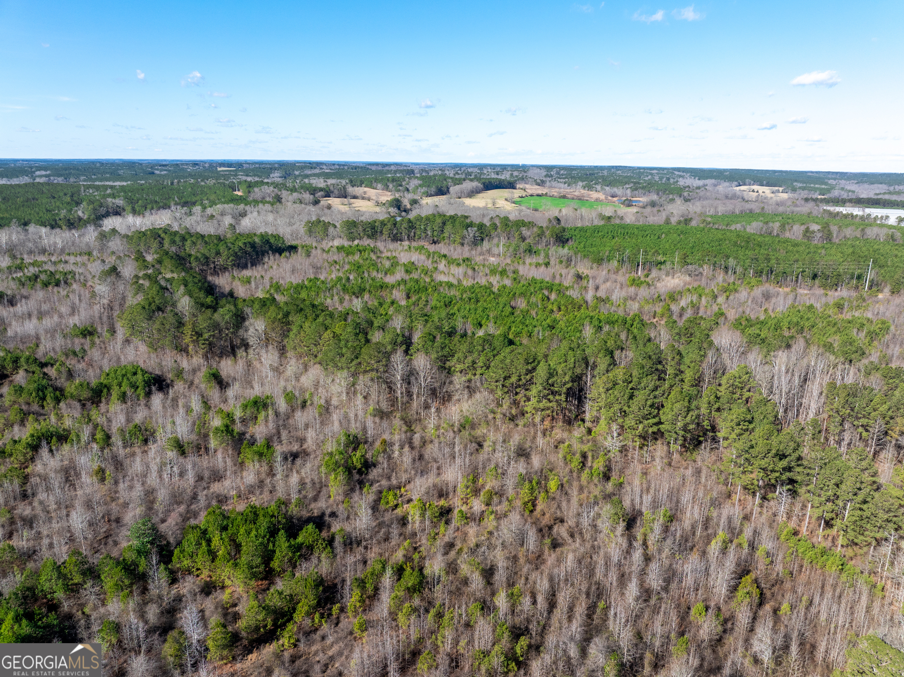 2071 Leslie Mill Road Property Photo 17