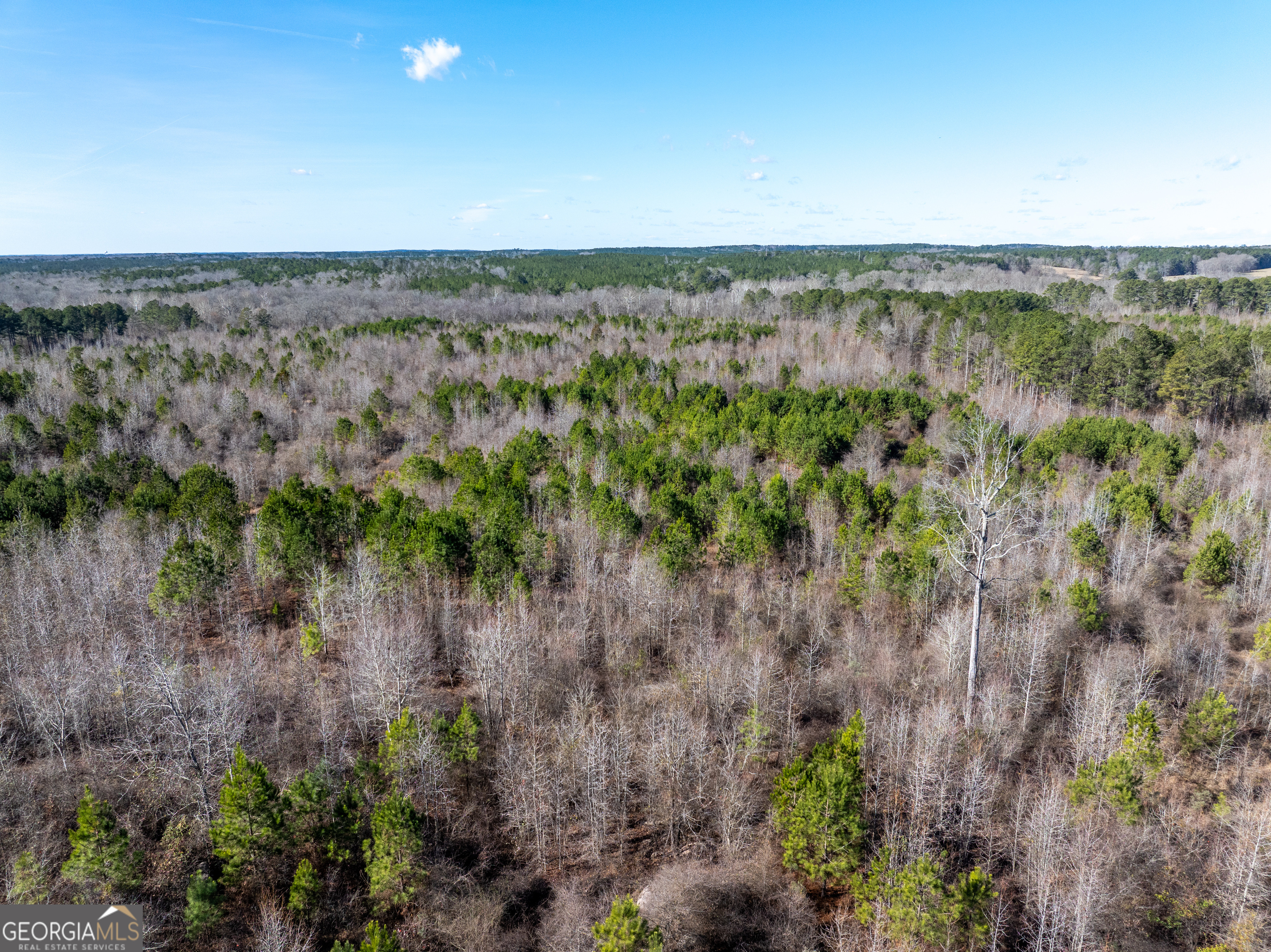 2071 Leslie Mill Road Property Photo 18