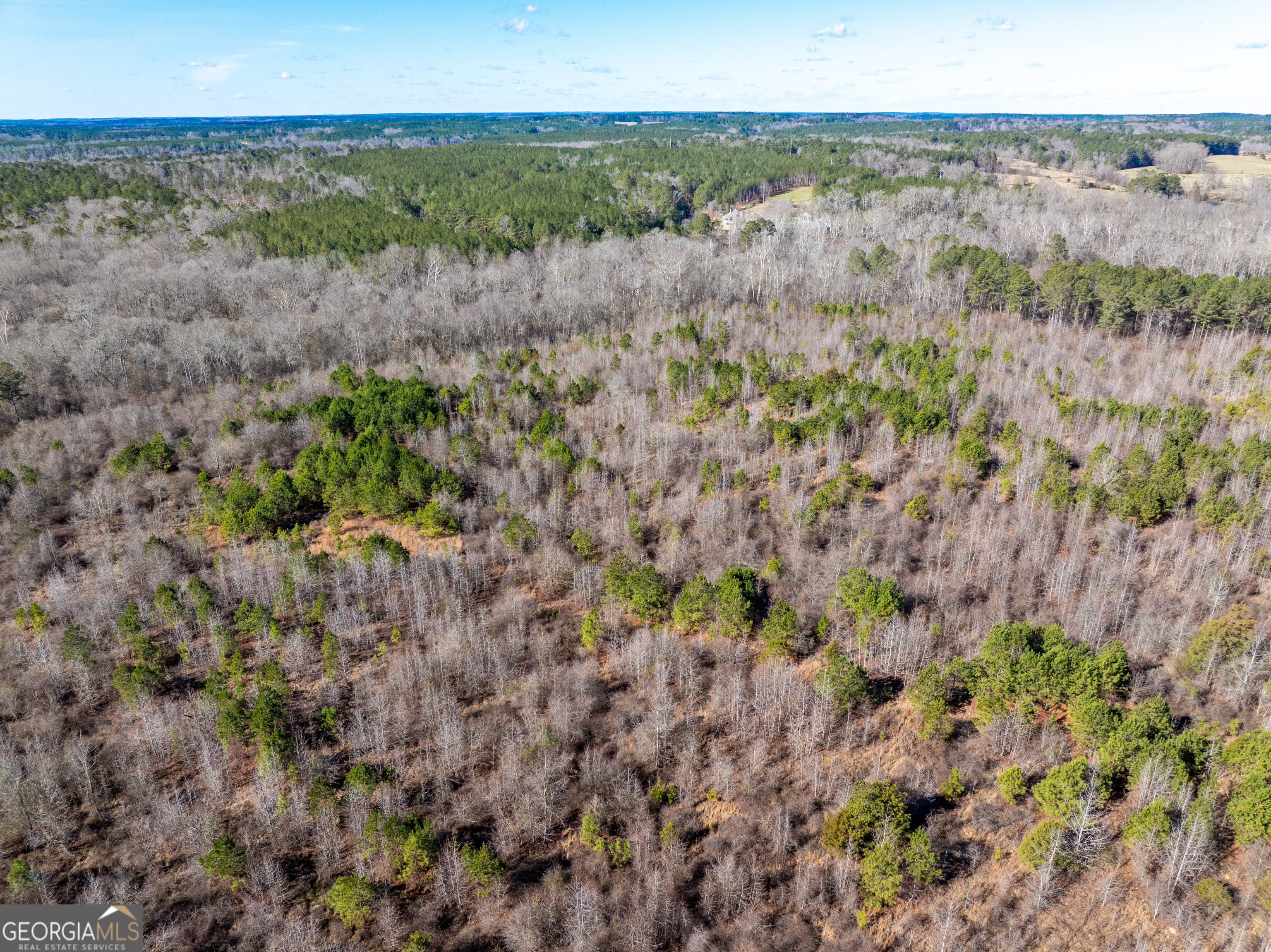 2071 Leslie Mill Road Property Photo 19