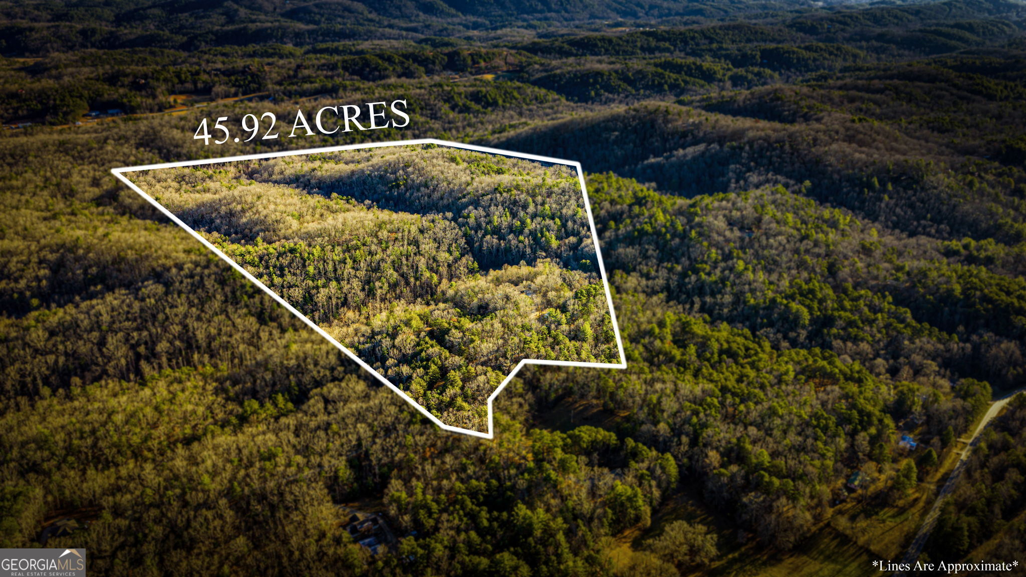 178 Arp Road Property Photo 2