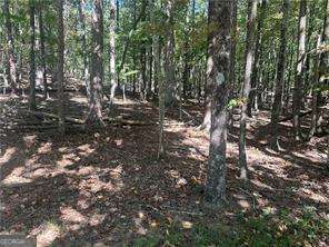 Lt1352 Willow Terrace Property Photo 1