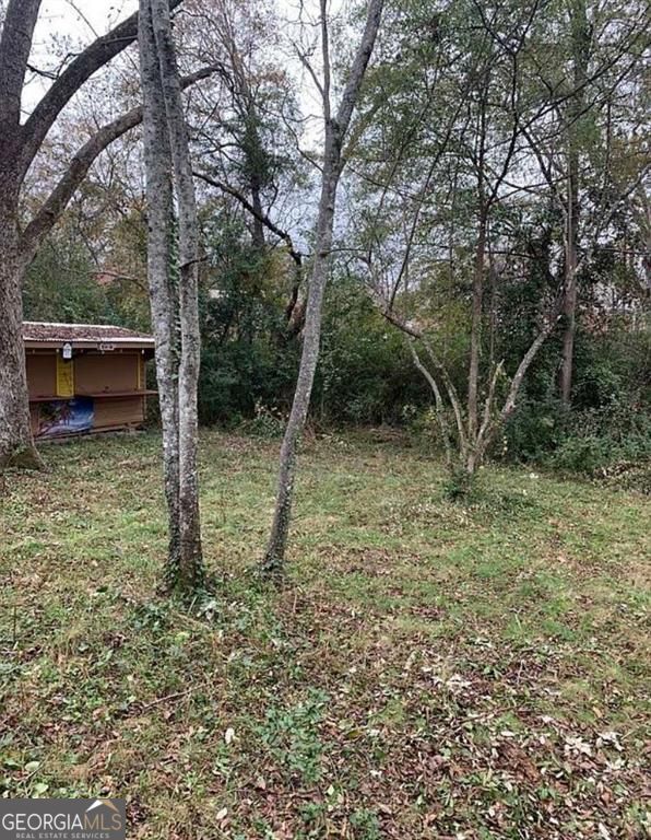114 E Adams Street Property Photo 18