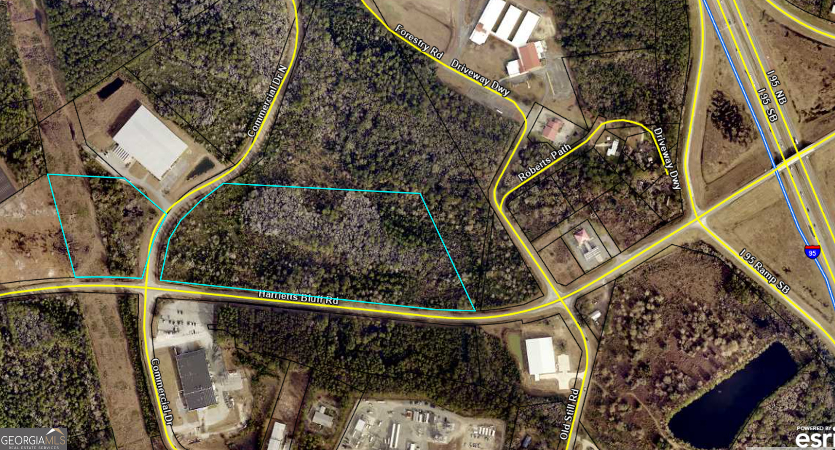 0 Harrietts Bluff Road Property Photo 1