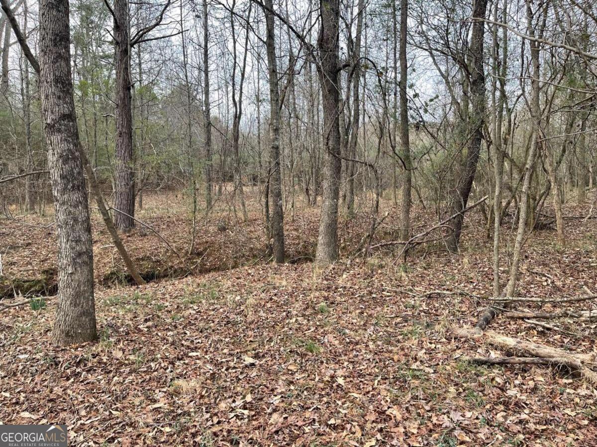 884 Jackson Trail Road Property Photo 1