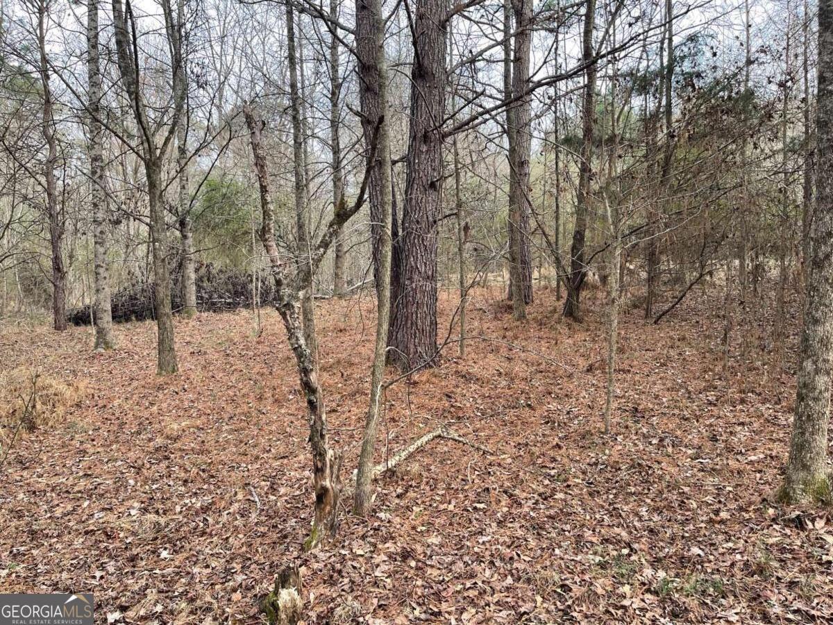 884 Jackson Trail Road Property Photo 2