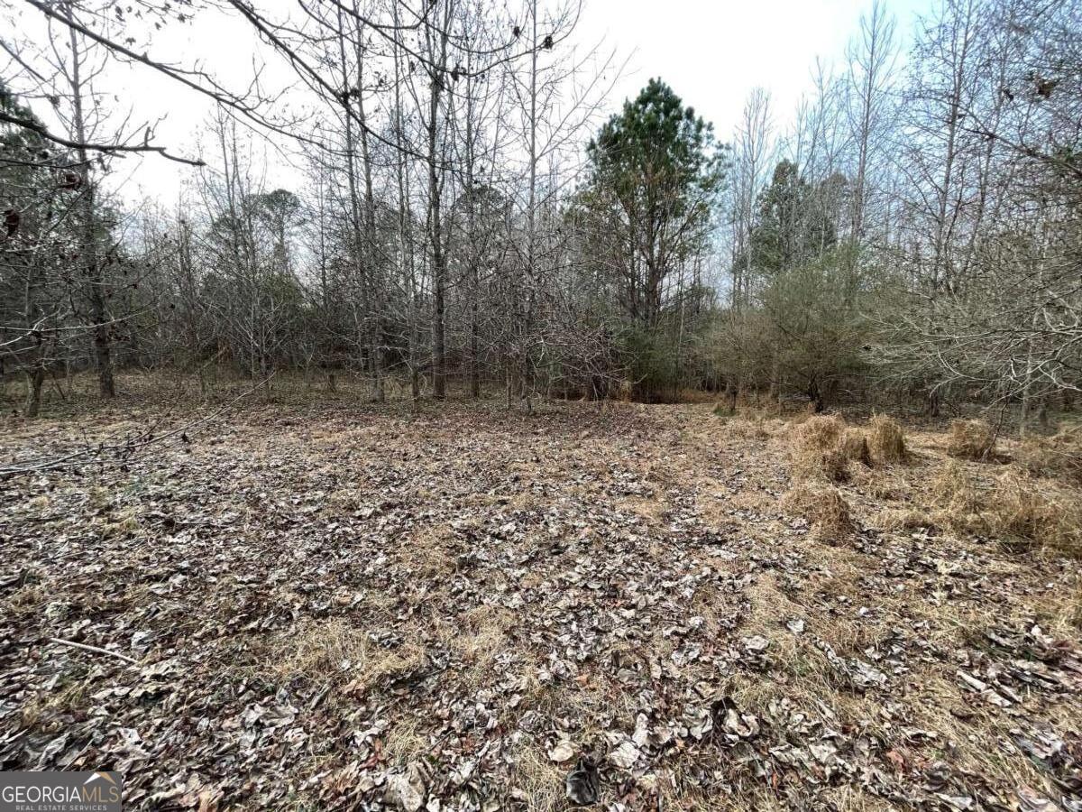 884 Jackson Trail Road Property Photo 3