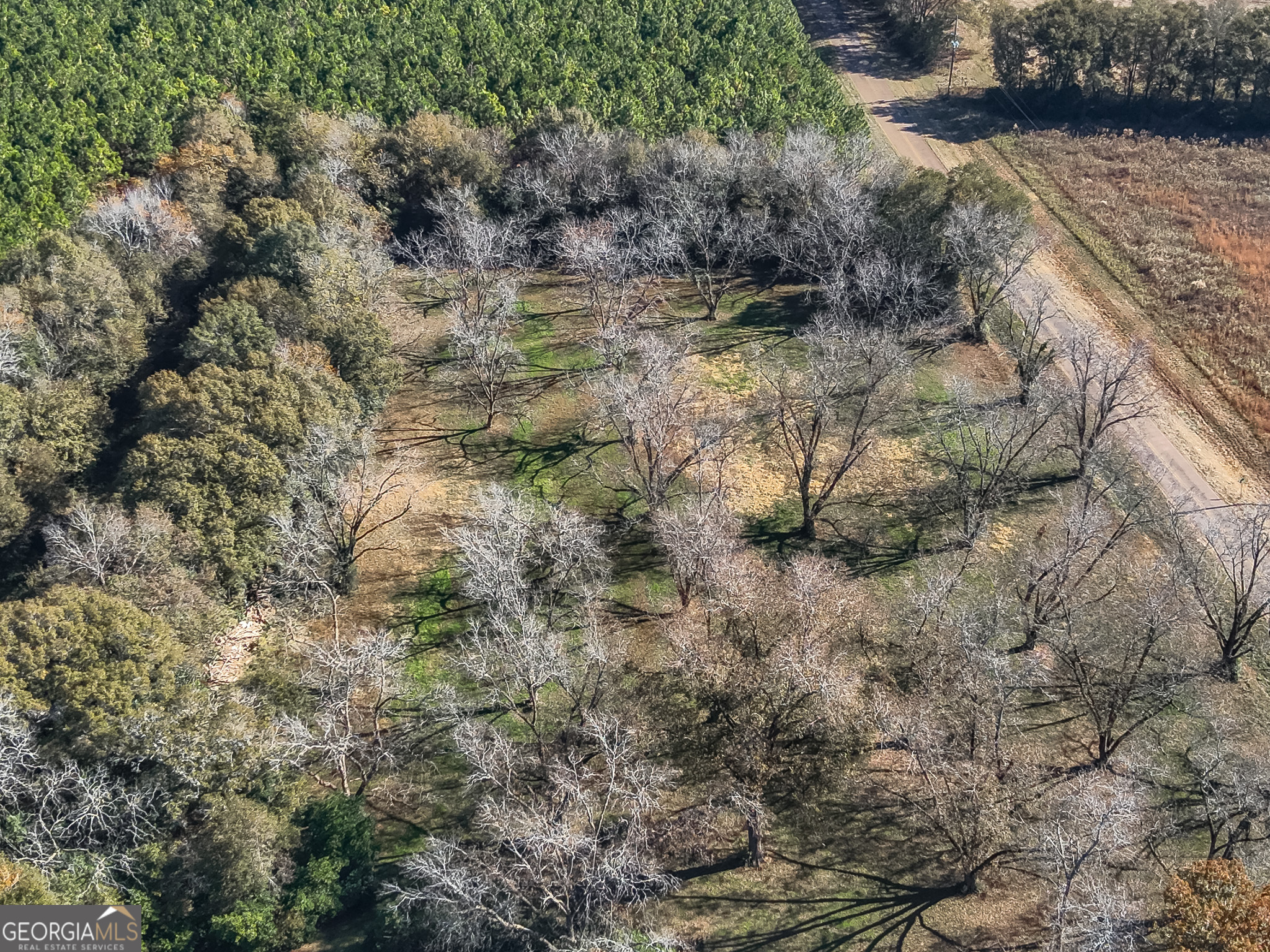 720 Wise Road Property Photo 4