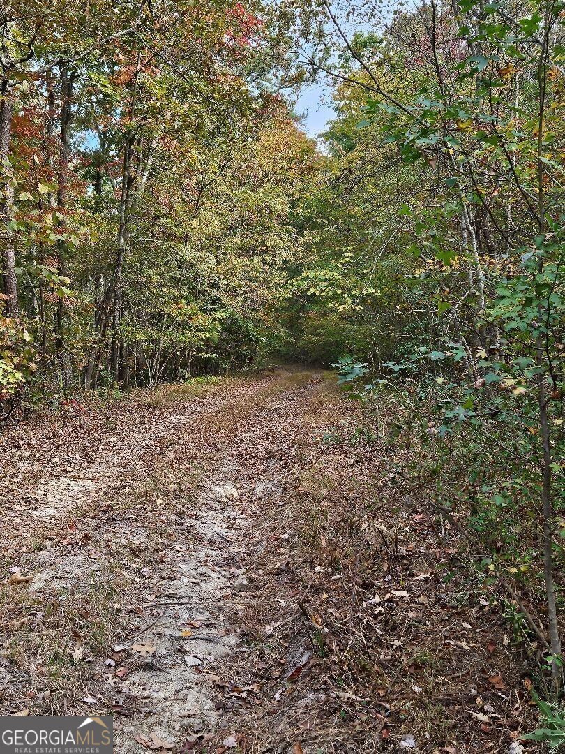 0 Fruit Farm Road Property Photo 1