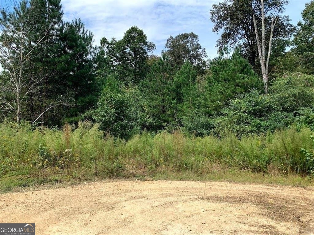 0 Fruit Farm Road Property Photo 3