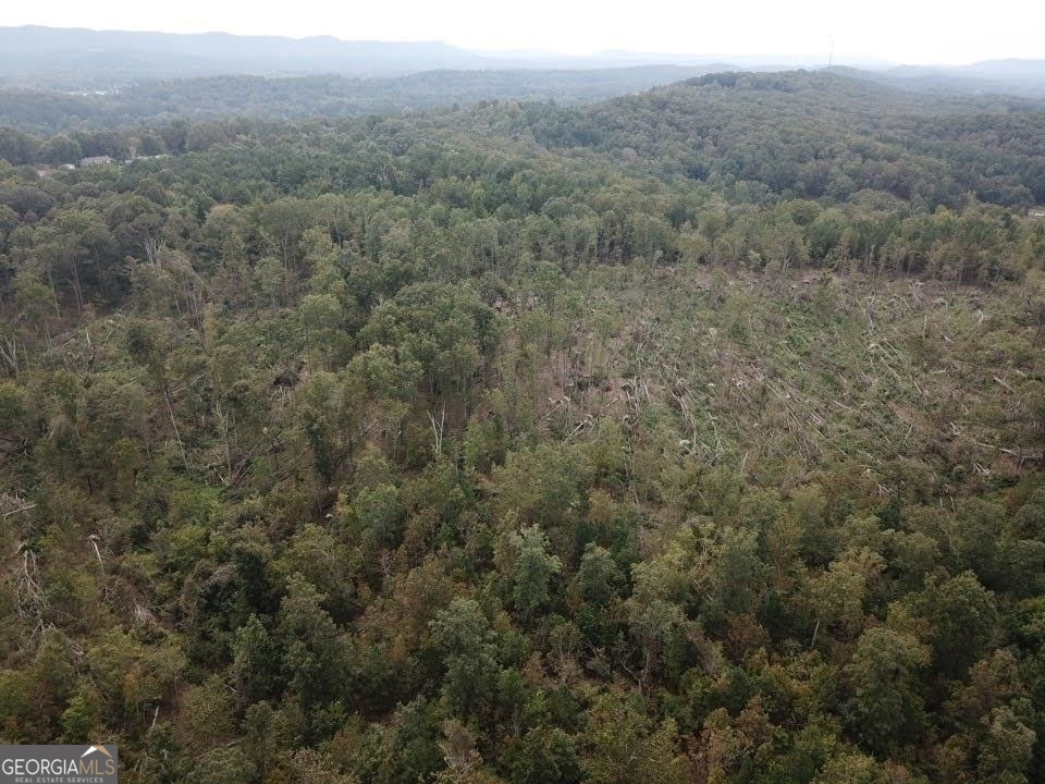 0 Fruit Farm Road Property Photo 4