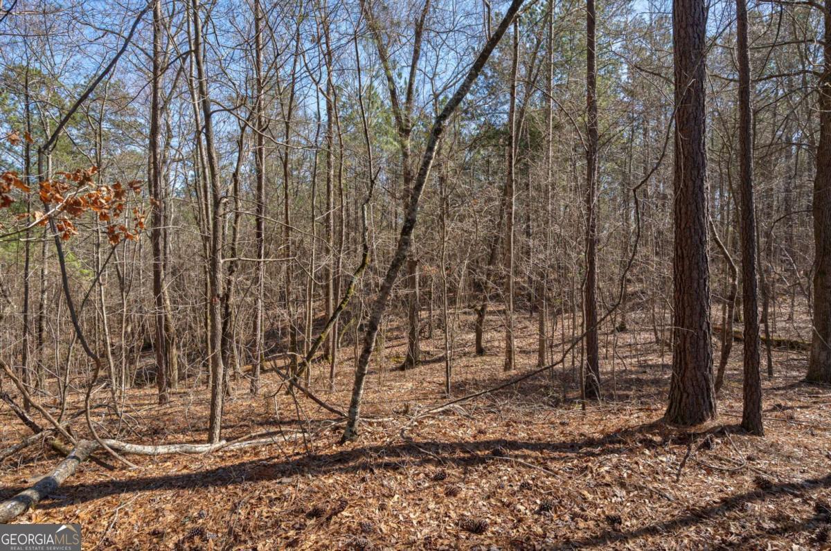 0 Kent Rock Road Property Photo 2