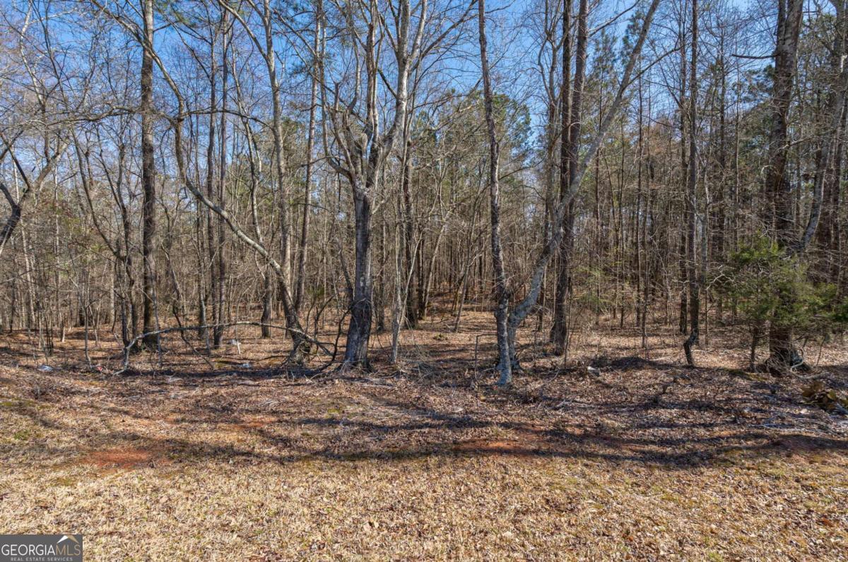 0 Kent Rock Road Property Photo 11