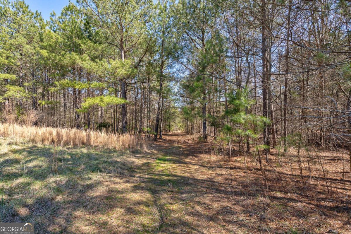 0 Kent Rock Road Property Photo 12