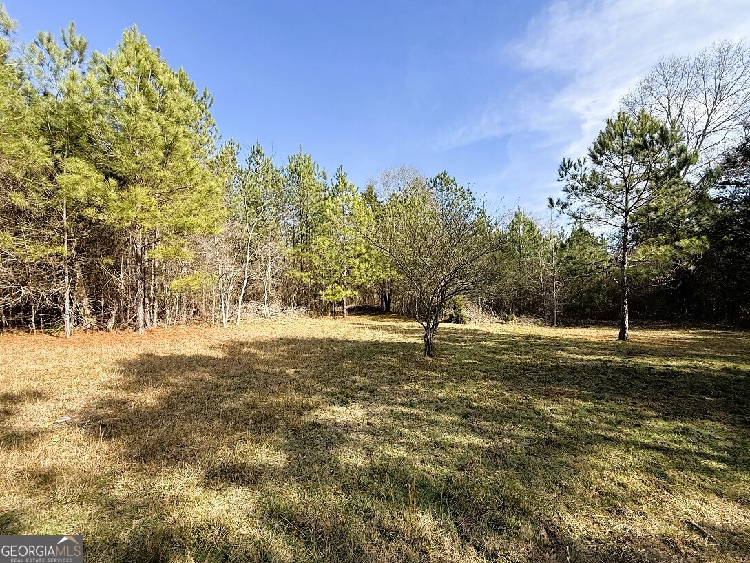 0 Stinchcomb Road Property Photo 1